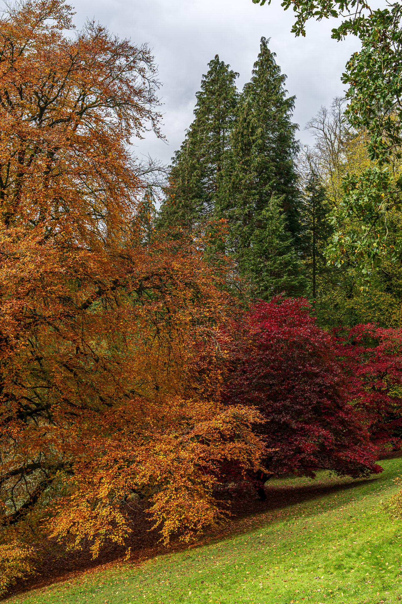 ZEISS Loxia 2/50 Planar T*