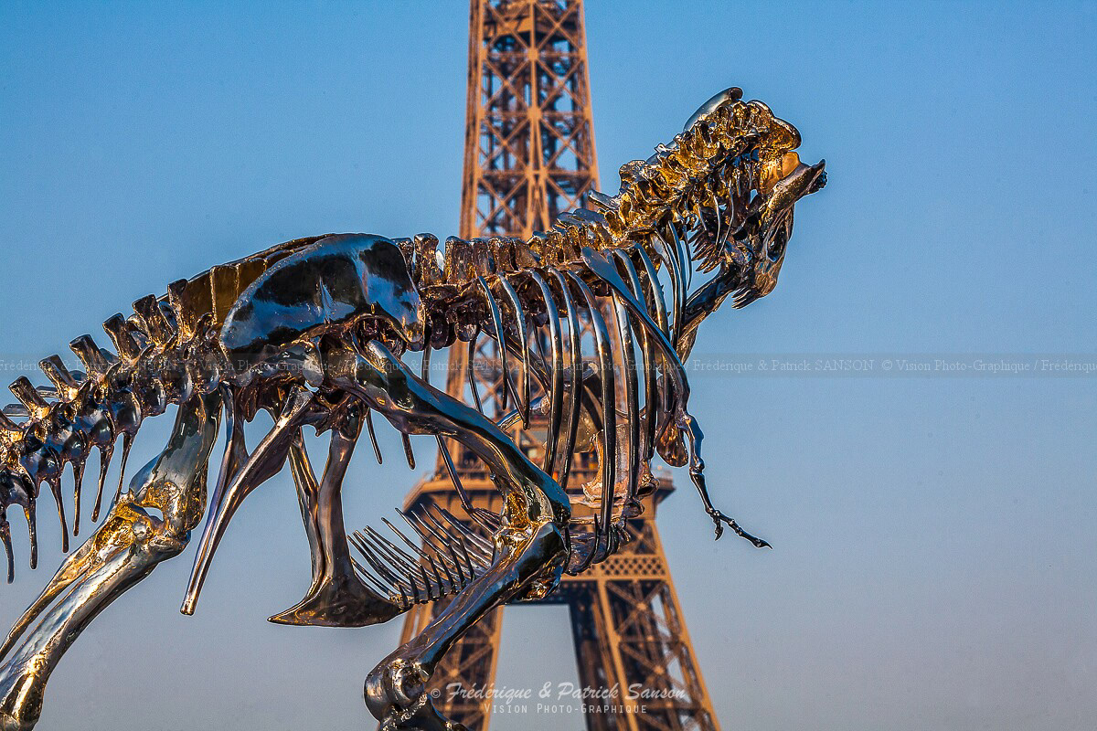 Tyrannosaurus Rex, Paris
