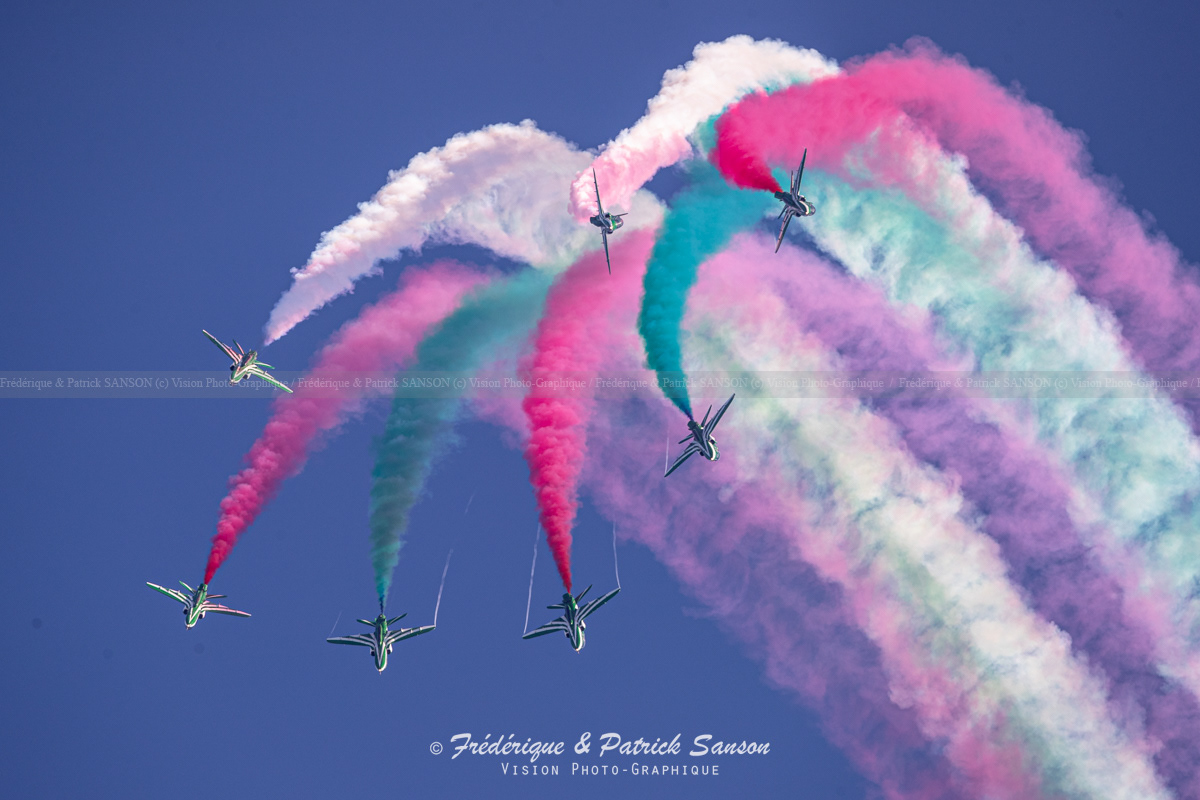 Saudi Hawks