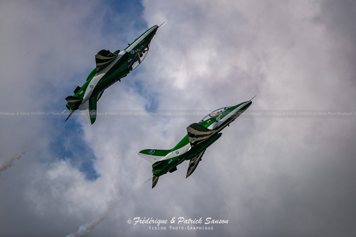 Saudi Hawks