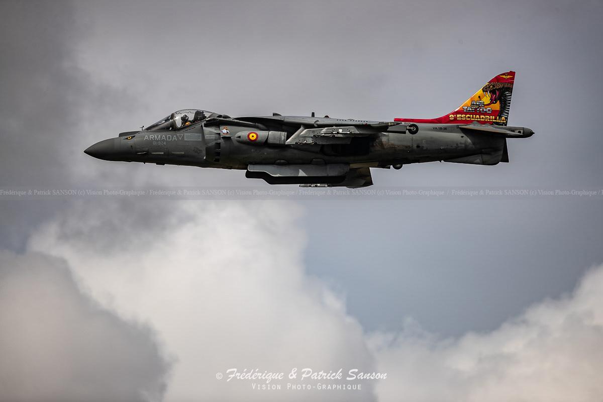 Spain Harrier