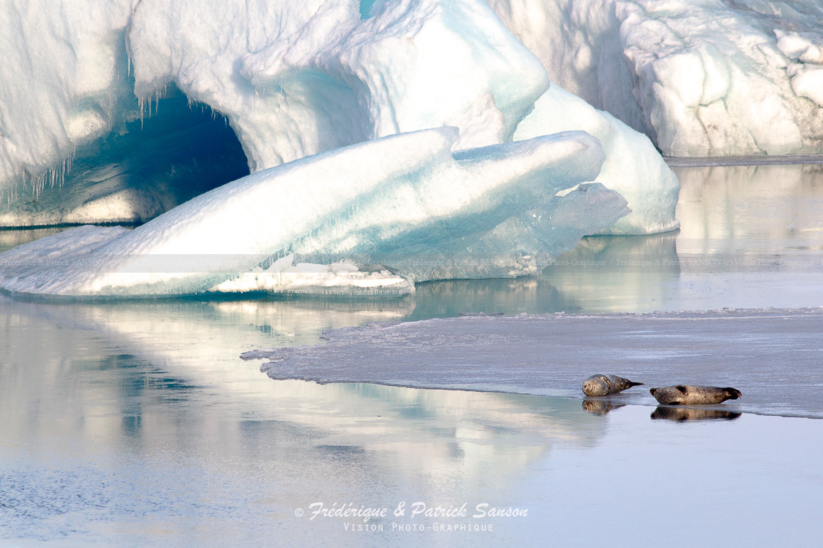 Jokulsarlon