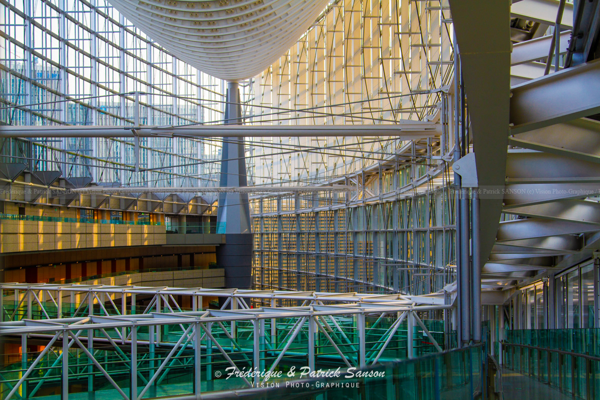 Forum de Tokyo, Viñoly