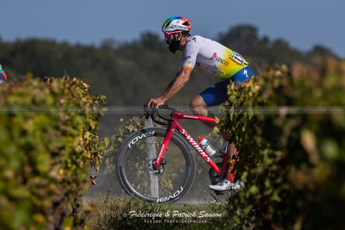 Paris-Tours , les Vignes