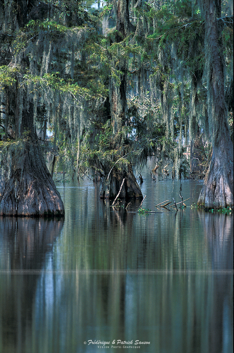Atchafalaya
