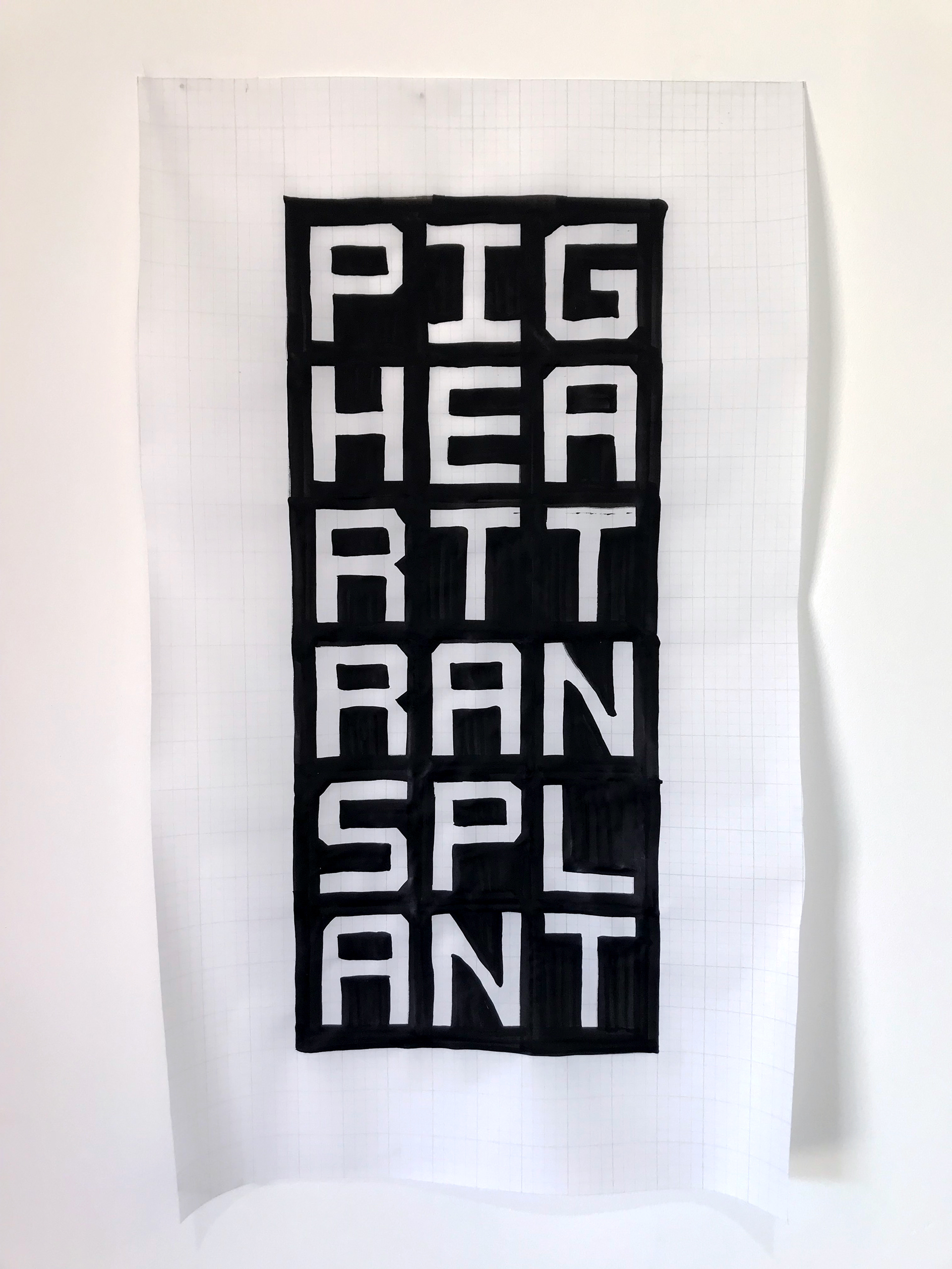 Pig Heart Transplant