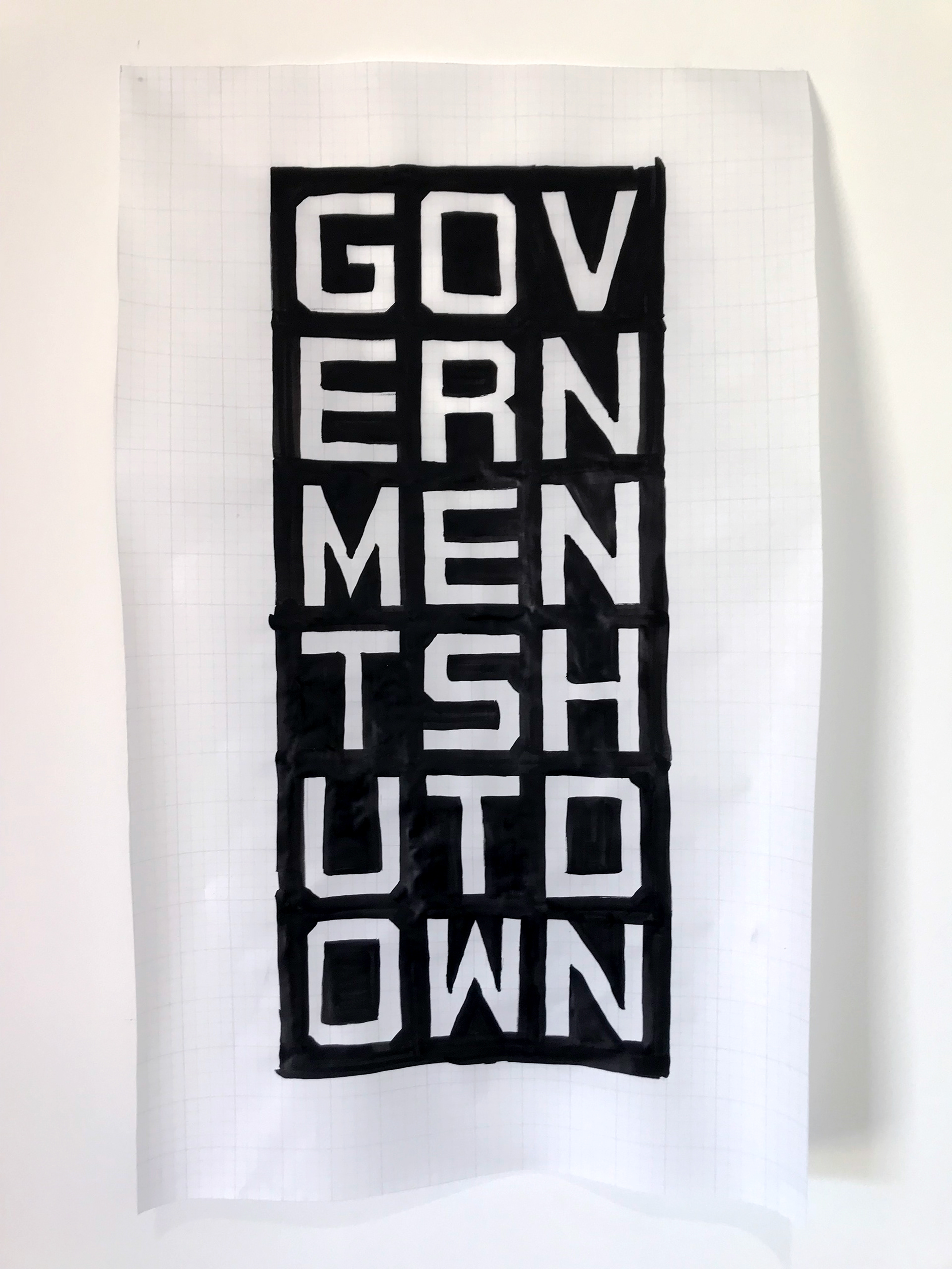 Government Shutdown