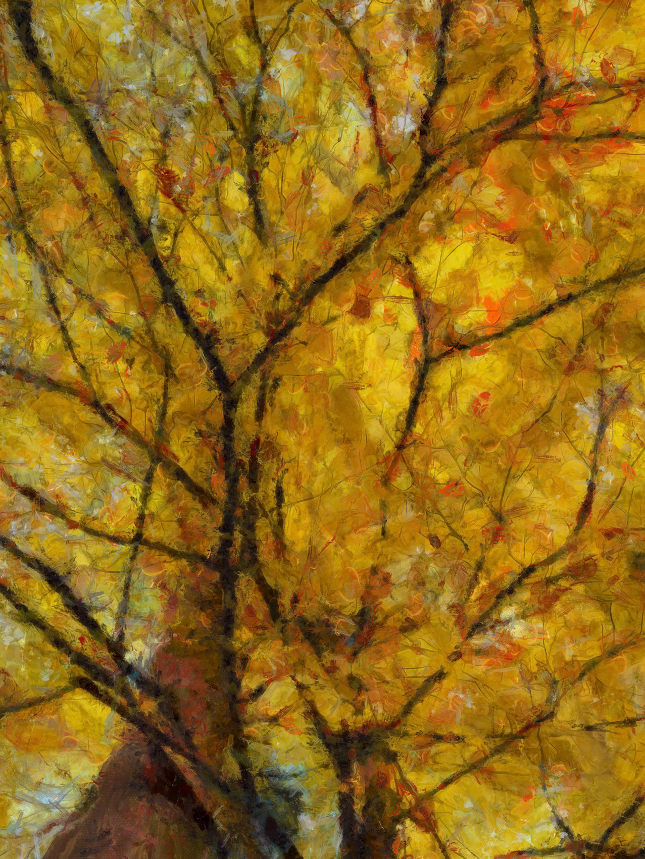 Branches intertwine beneath a golden light. The dense, vibrant foliage—almost abstract—wraps the eye in a feeling of warmth and autumnal fullness.  Tags  tree, foliage, yellow, autumn, branches, forest, landscape, digital painting, impressionism, light, nature, contemplation