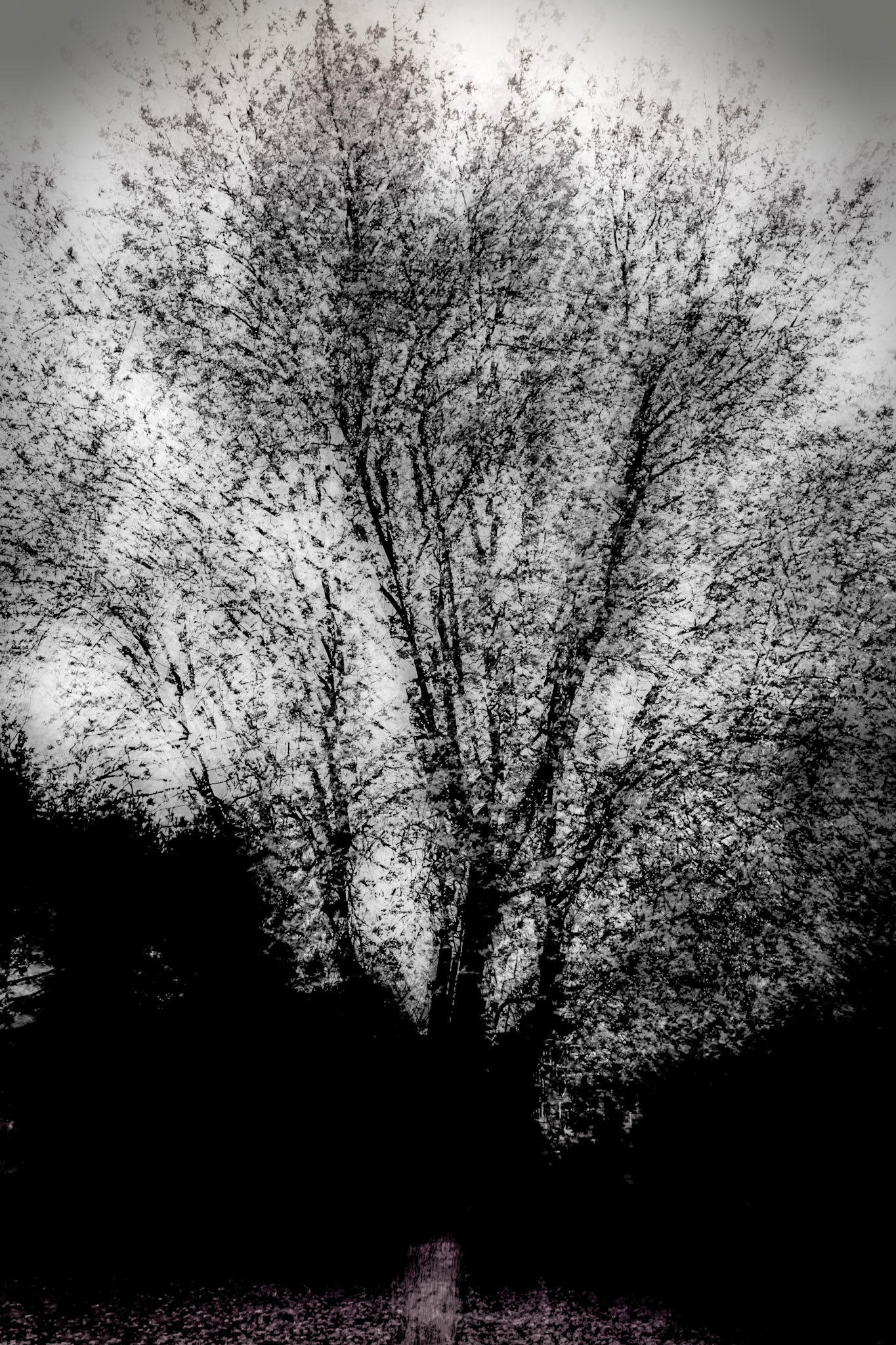 Abstract Tree