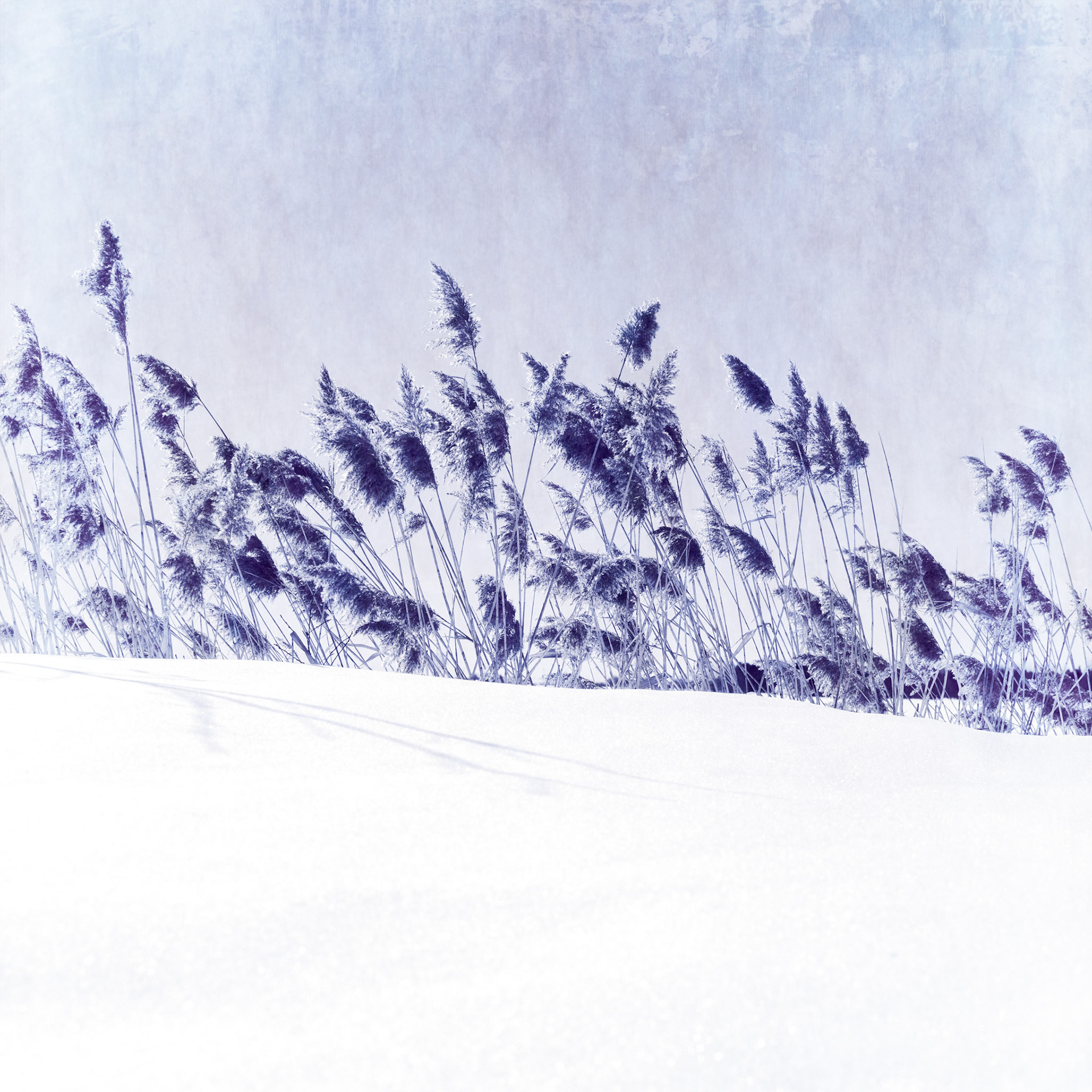 Countryside landscape Antique Winter