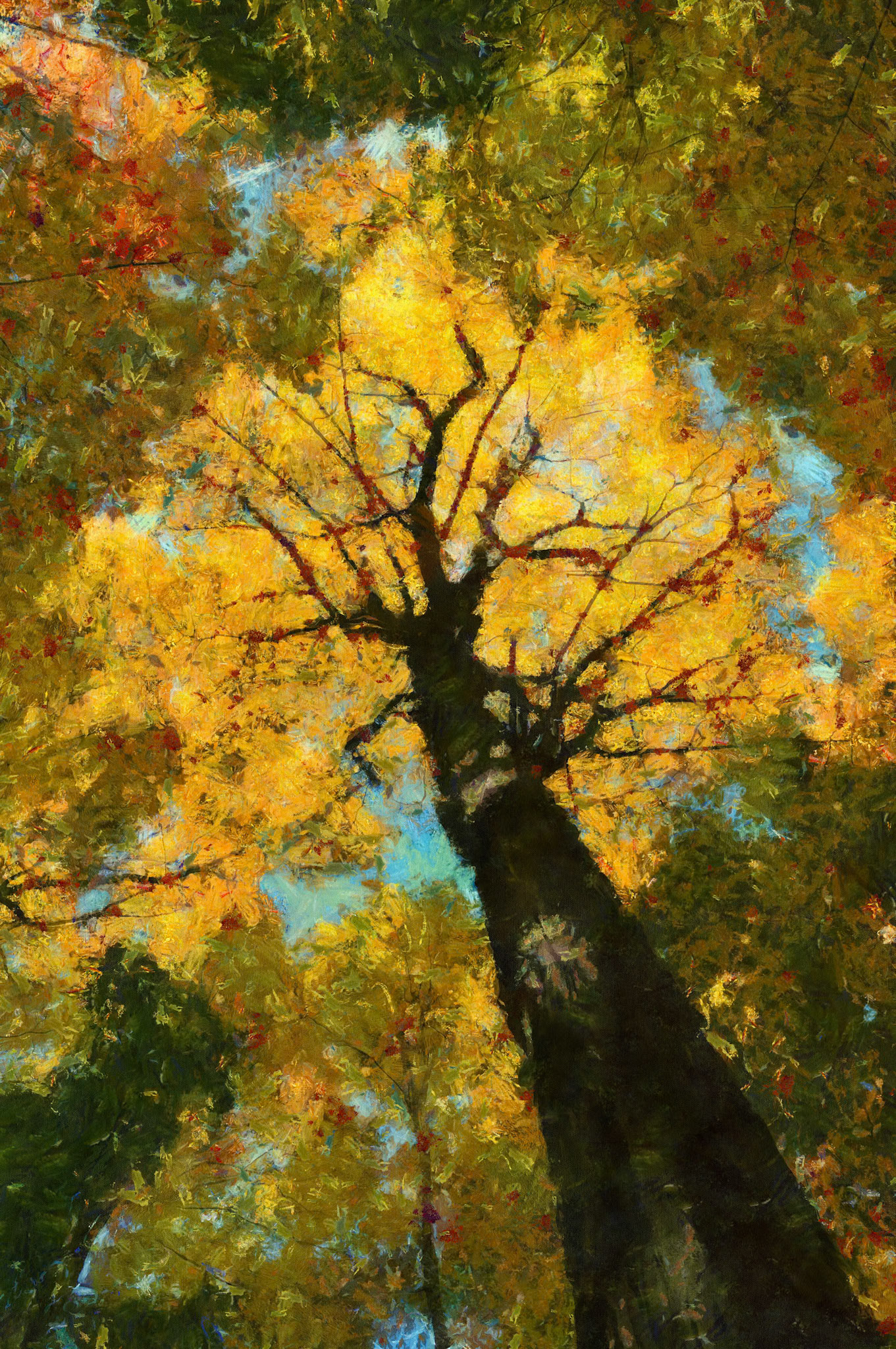 Low Angle View of Trees in Forest in Autumn - Claude Monet style digital painting