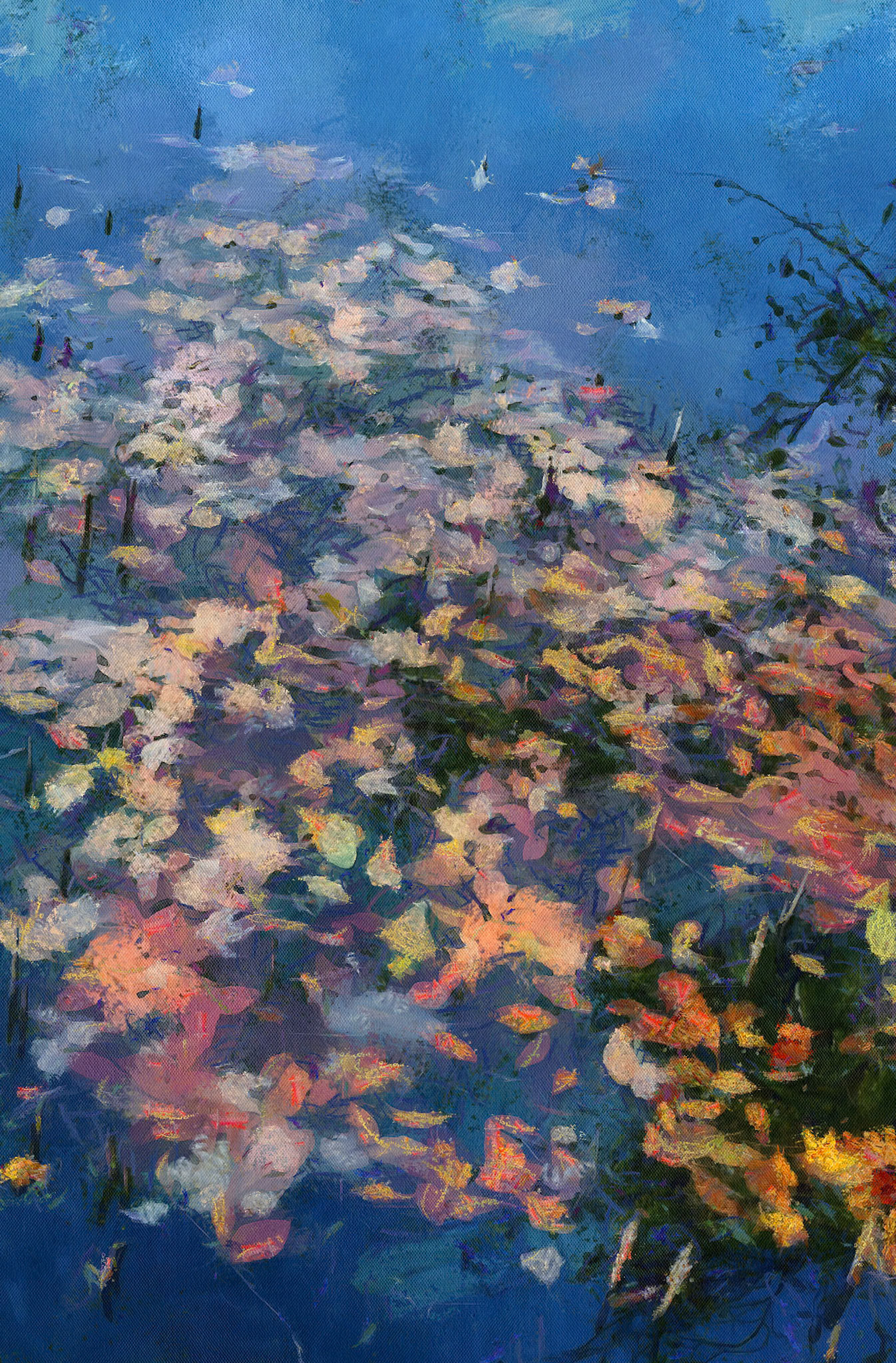 Reflections in a Water Garden