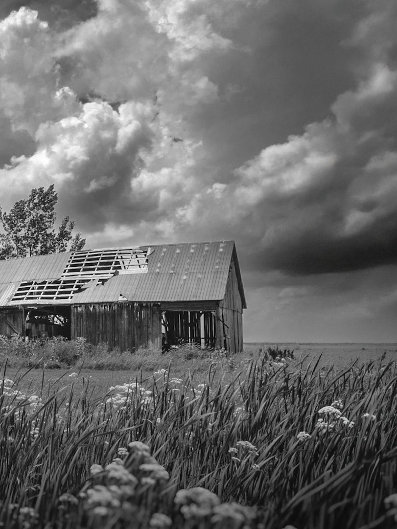 The Forgotten Barn NFT