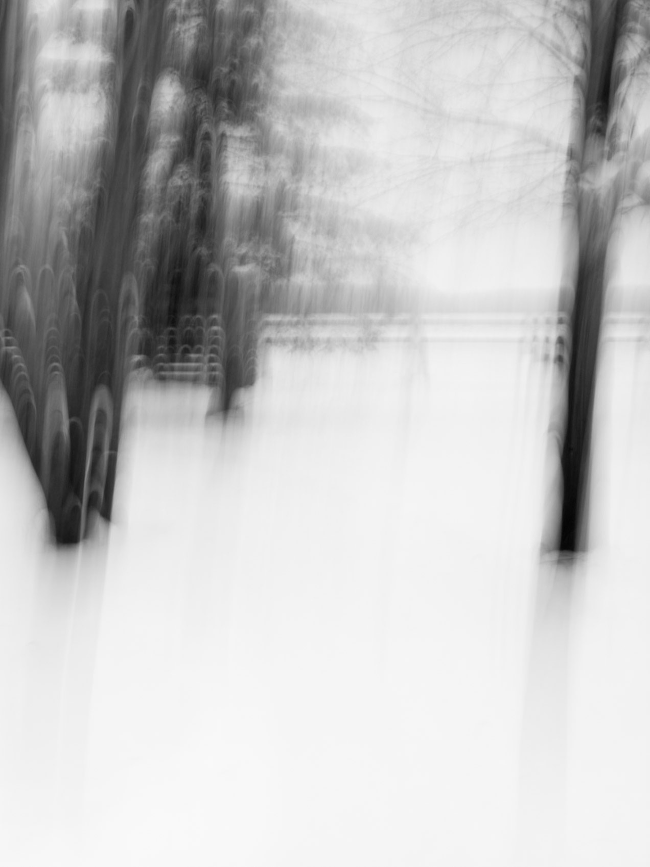 Mistic Forest