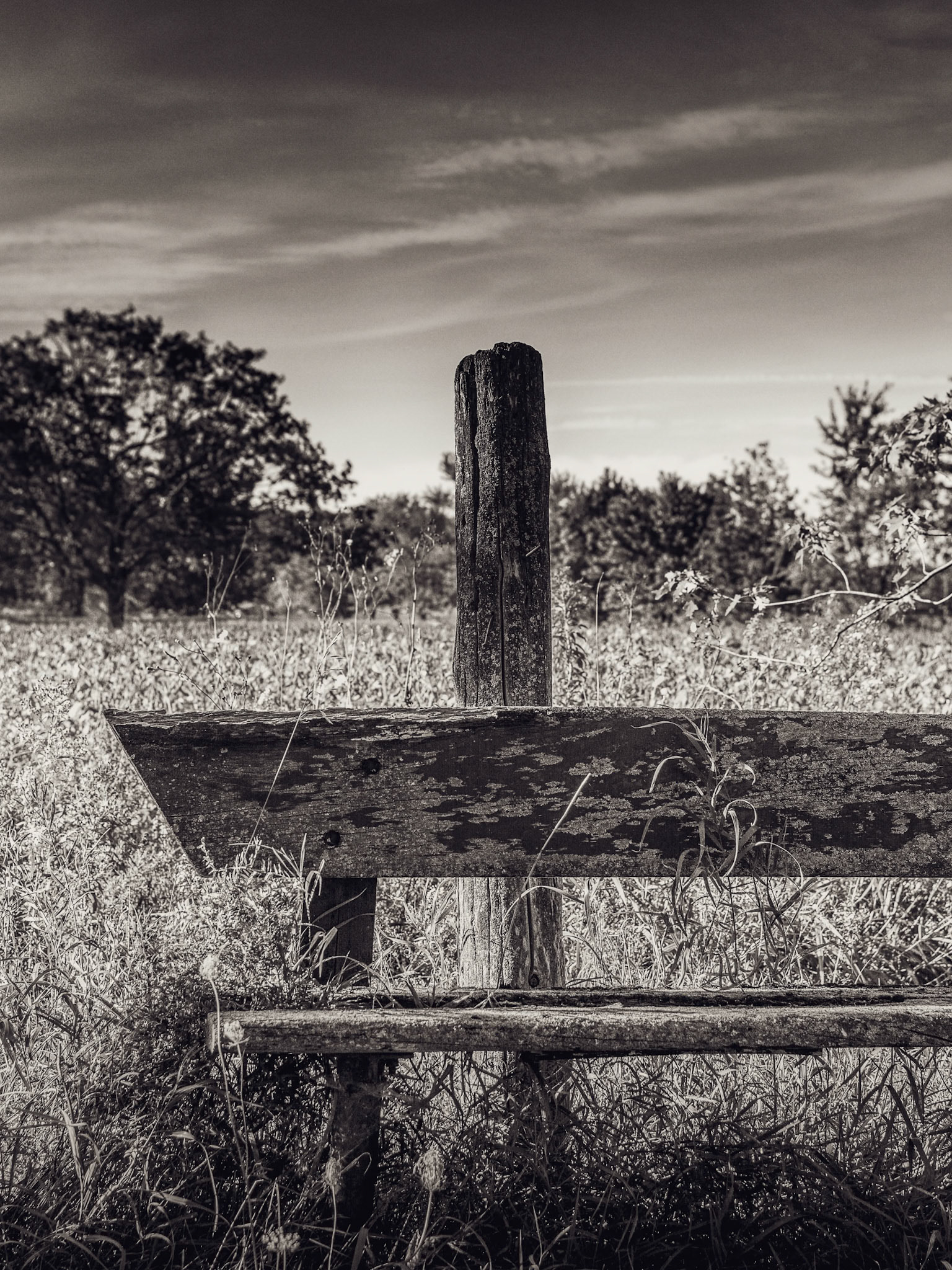 An old wooden bench, isolated and weathered by time, rests in the middle of an untended field. No path leads to it, no trace of recent presence remains. The open, silent landscape turns the bench into a remnant — an invitation to pause, waiting, or absence.