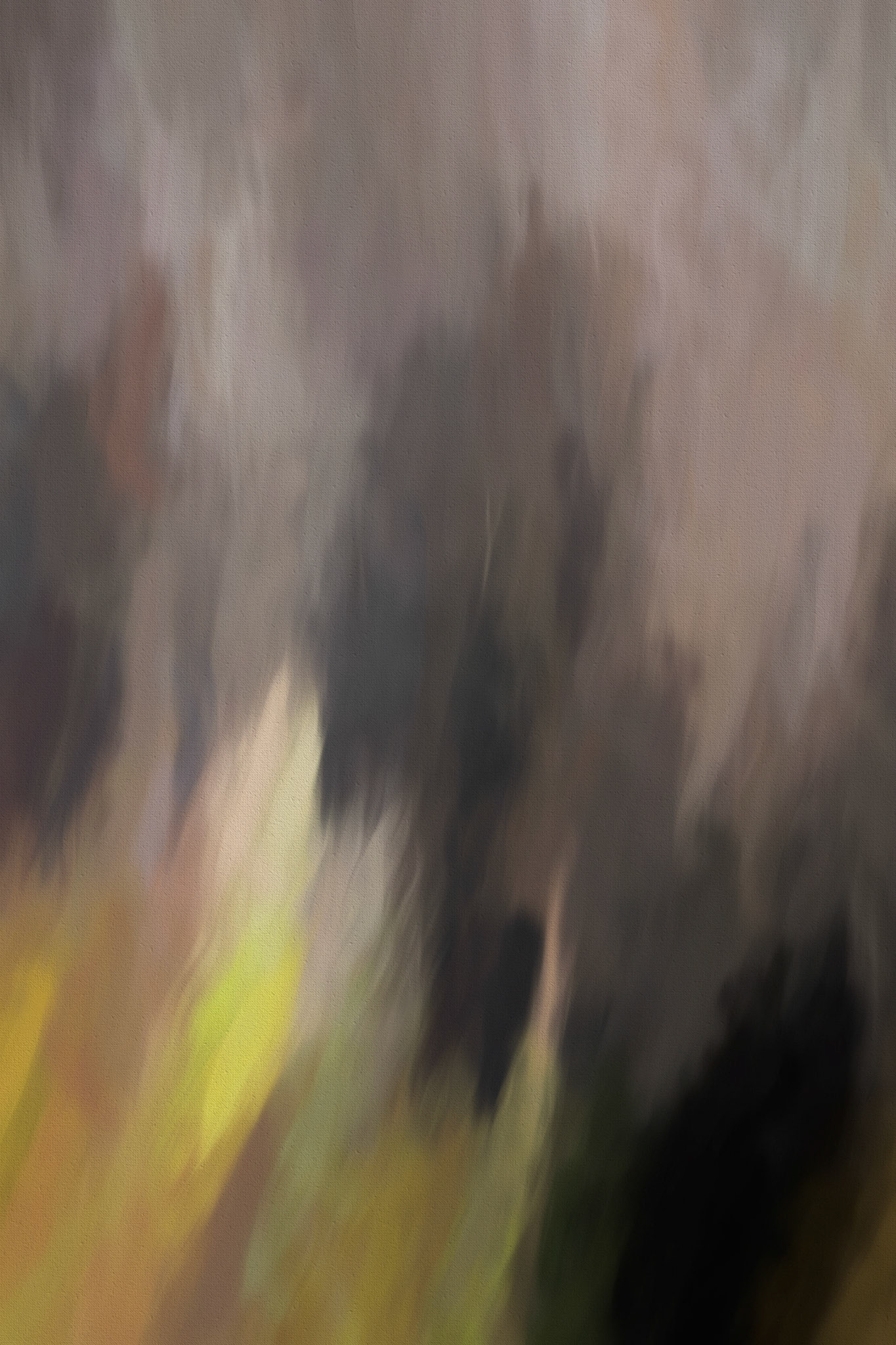 A visual study exploring motion blur and reduced visual noise. ICM Photography.