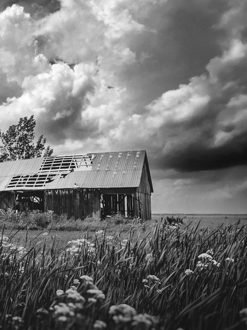 The Forgotten Barn NFT