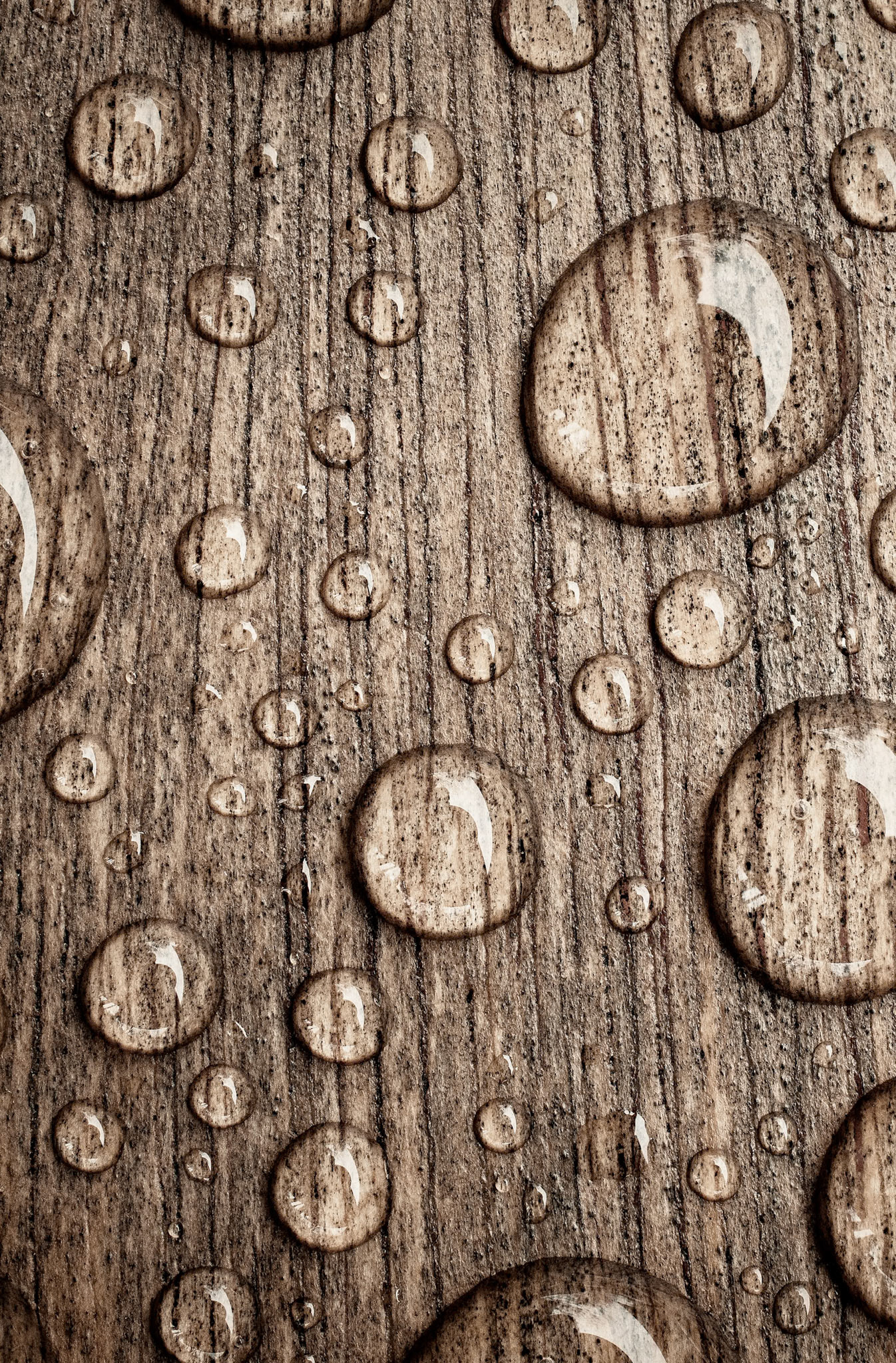 Water Drops