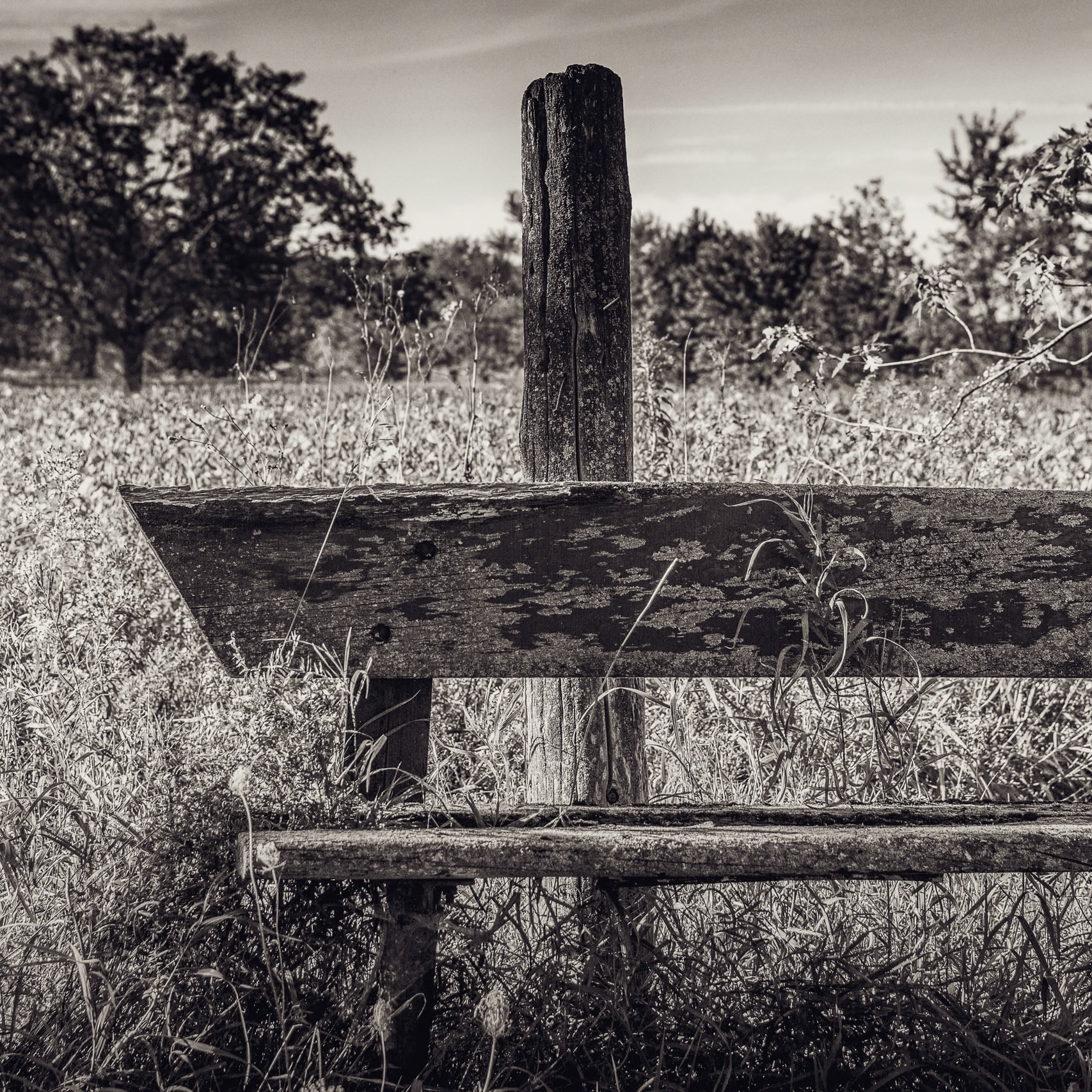 An old wooden bench, isolated and weathered by time, rests in the middle of an untended field. No path leads to it, no trace of recent presence remains. The open, silent landscape turns the bench into a remnant — an invitation to pause, waiting, or absence.