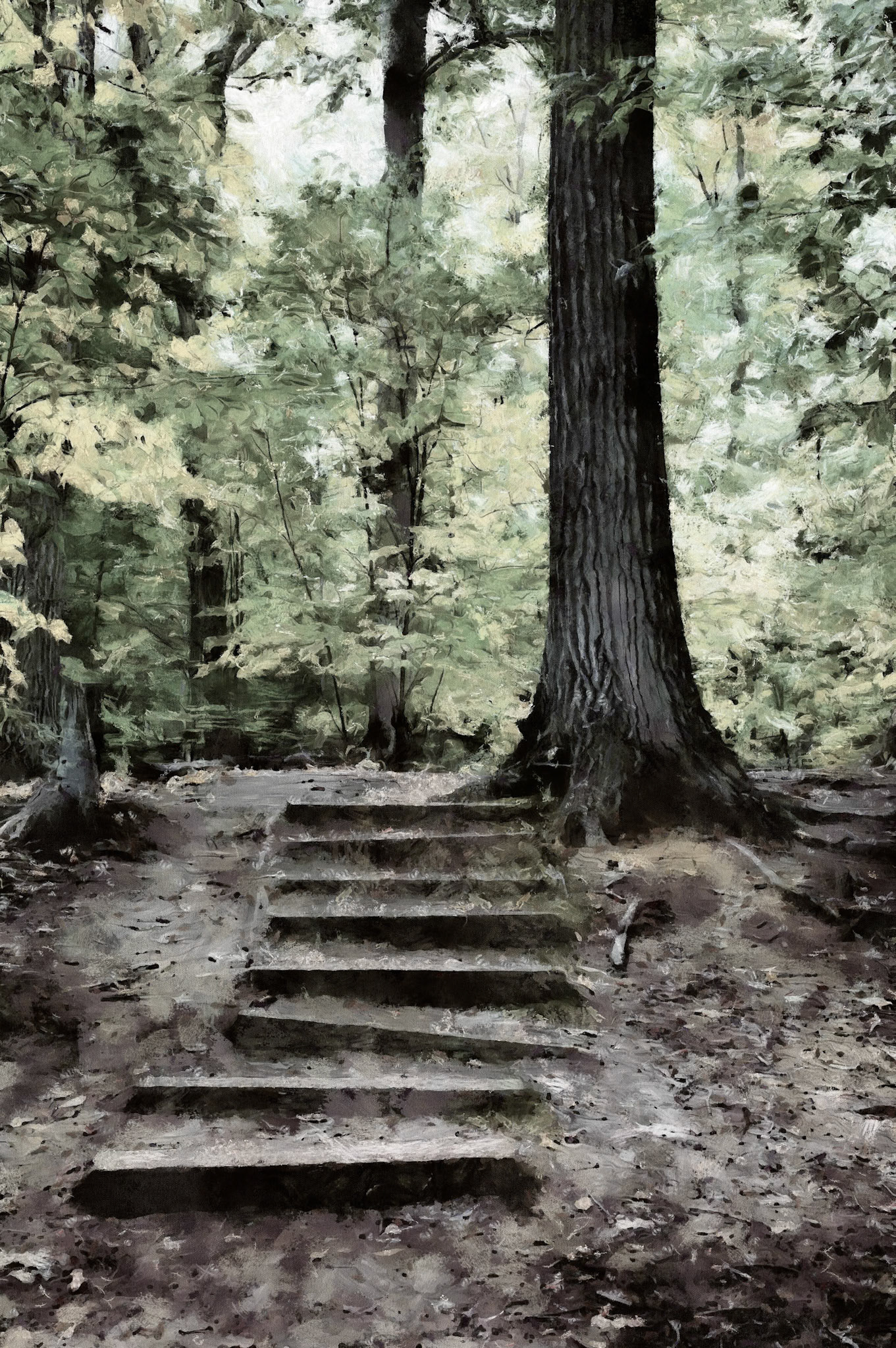 A set of wooden steps leads gently into a forest filled with luminous greens. The path suggests a slow, almost inward movement between shadow and light. The image evokes transition, quiet passage, and the subtle pull of nature.