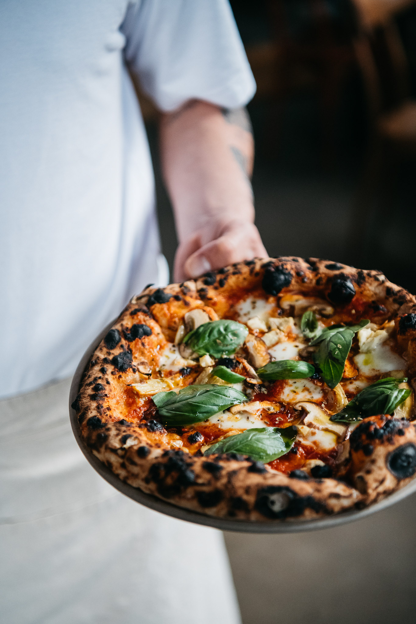 Ciccia Bella - Bondi