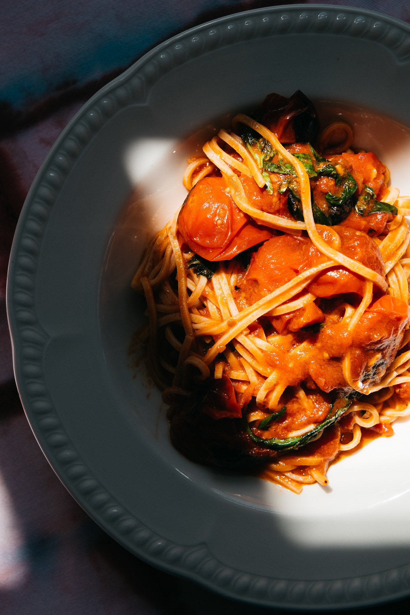 Ciccia Bella - Bondi