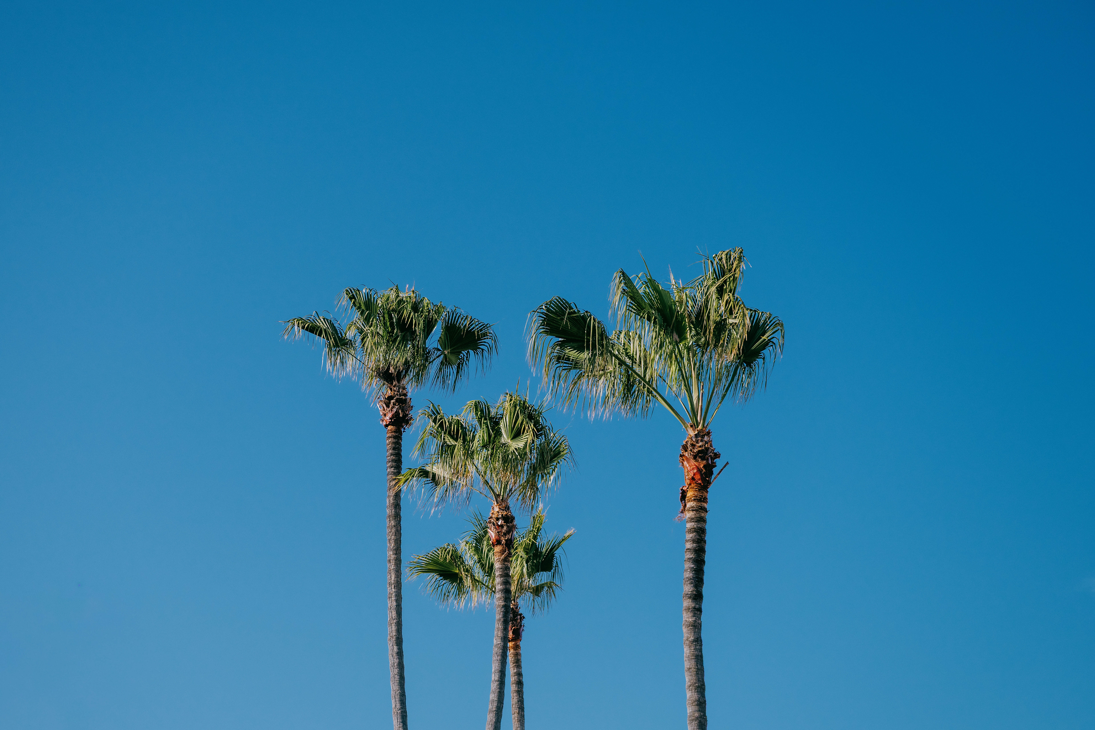Manhattan Beach, CA