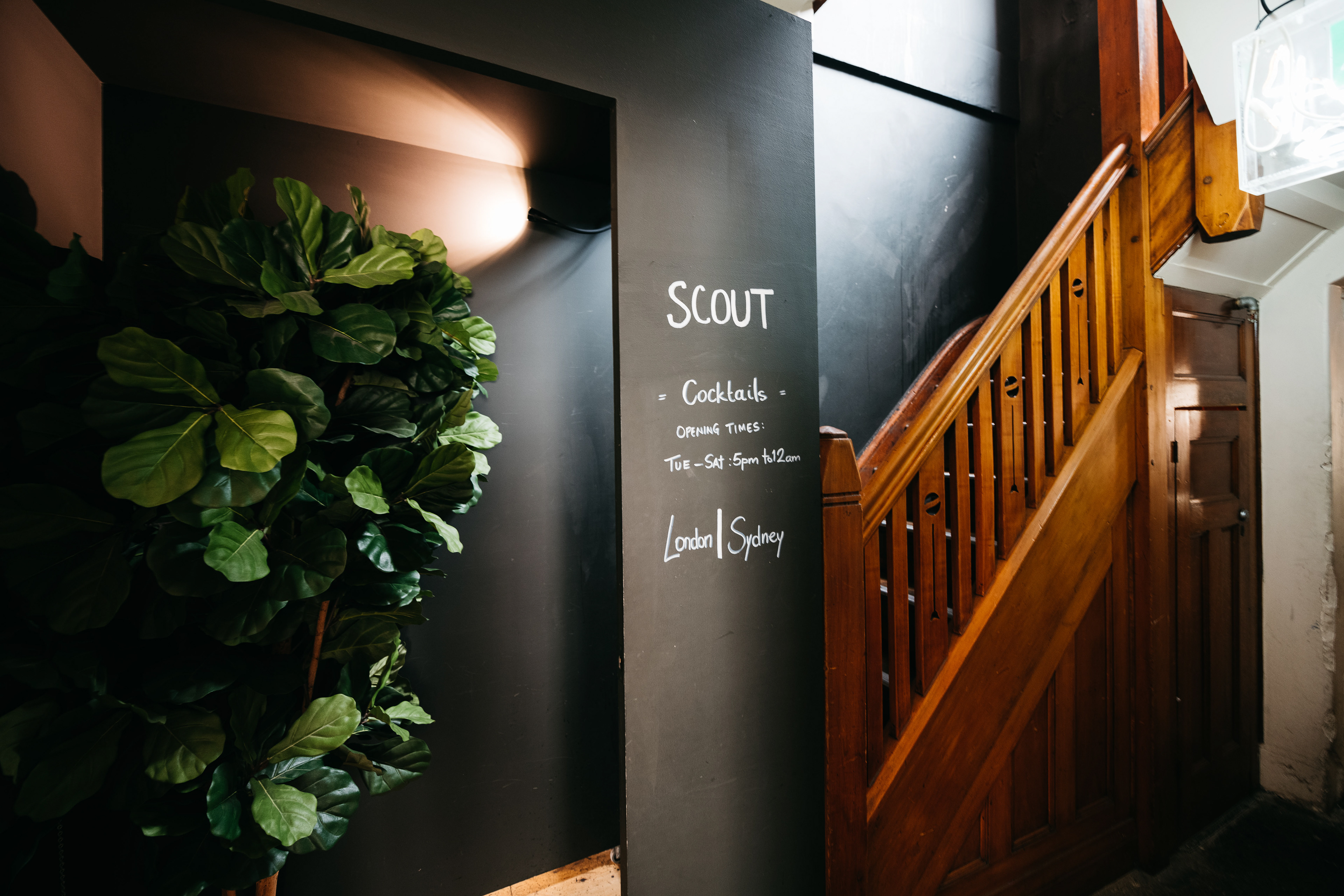 The Dolphin Hotel, Surry Hills.