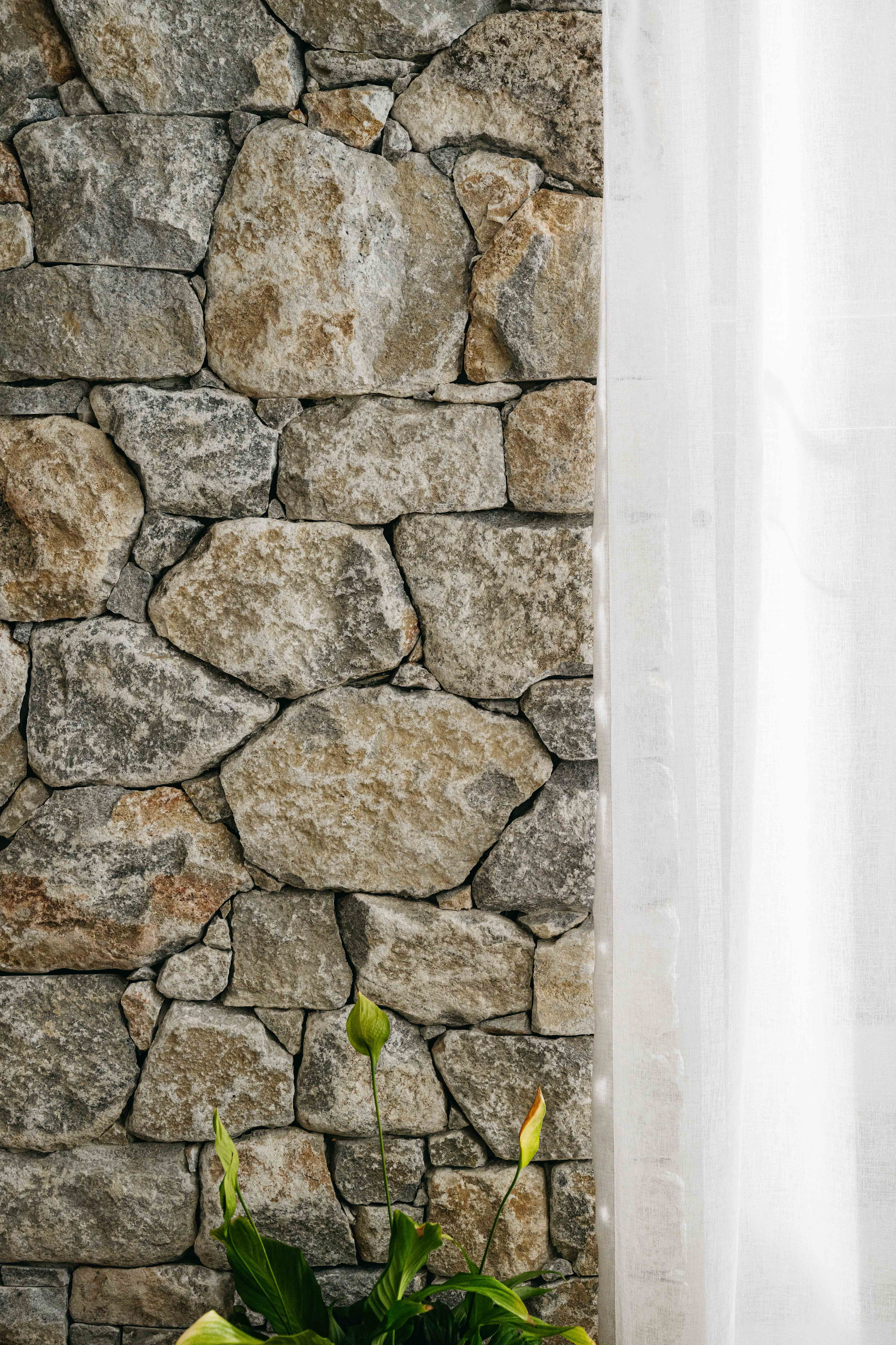 SC Projects - South Coogee