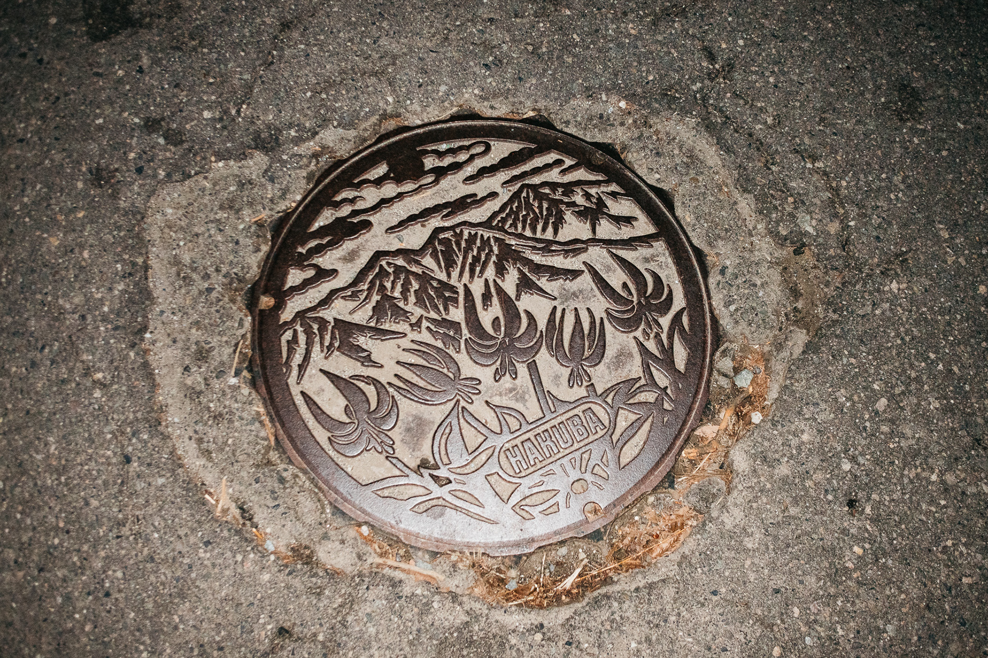 Snow Machine 2020, Hakuba, Japan
