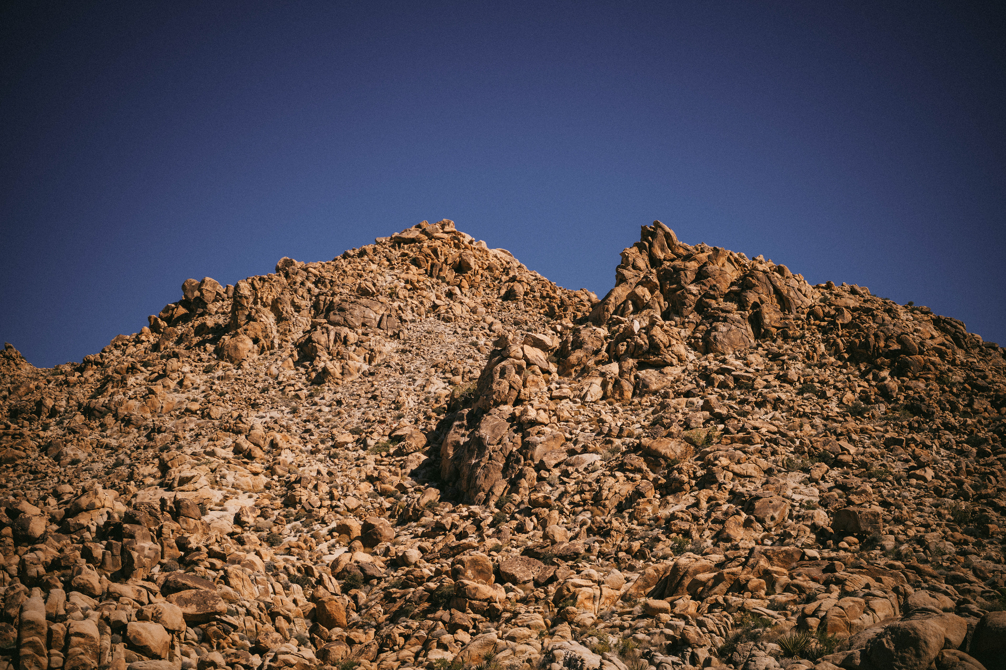 Joshua Tree, CA