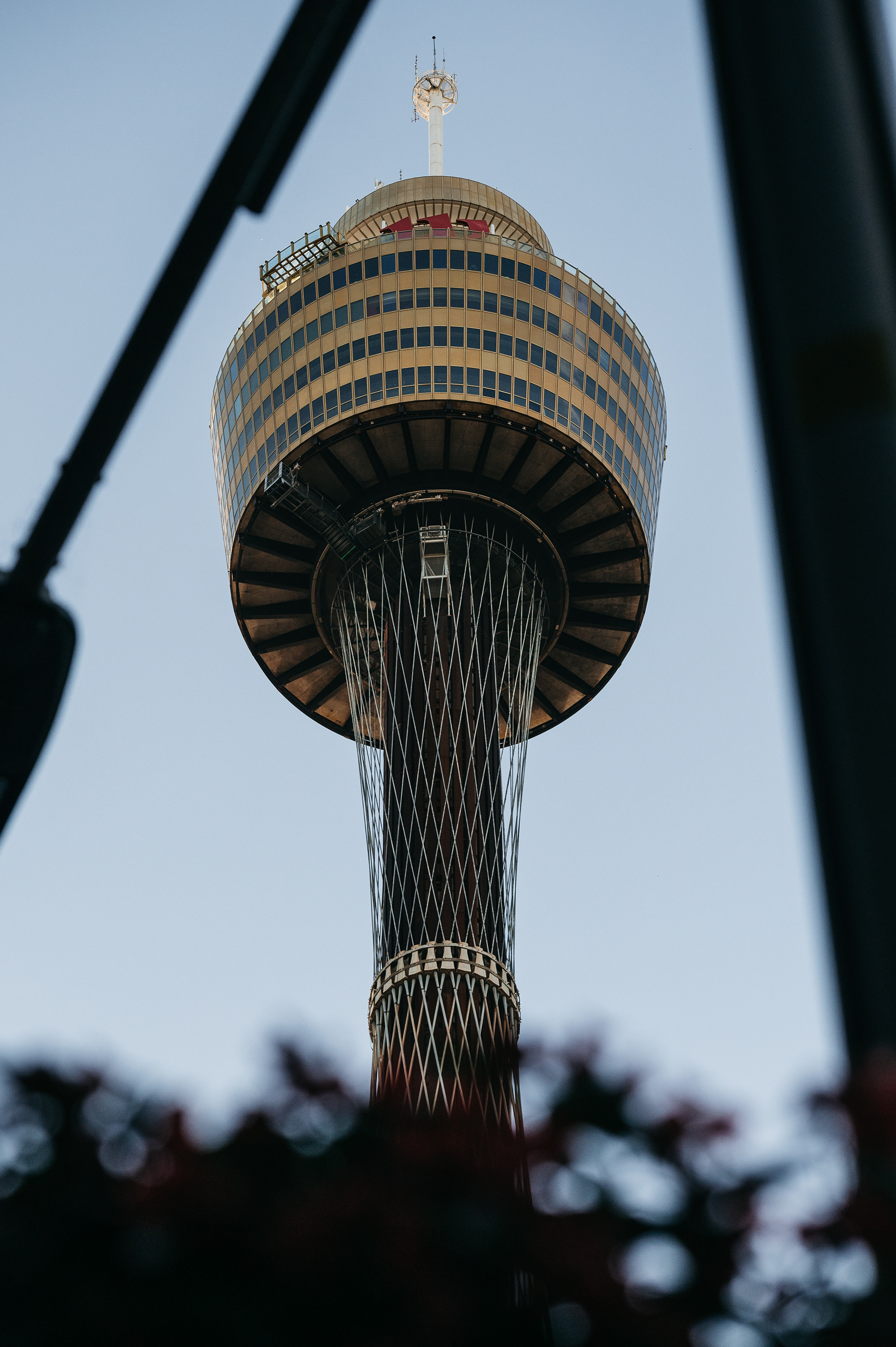 Sydney Tower - Looking Up