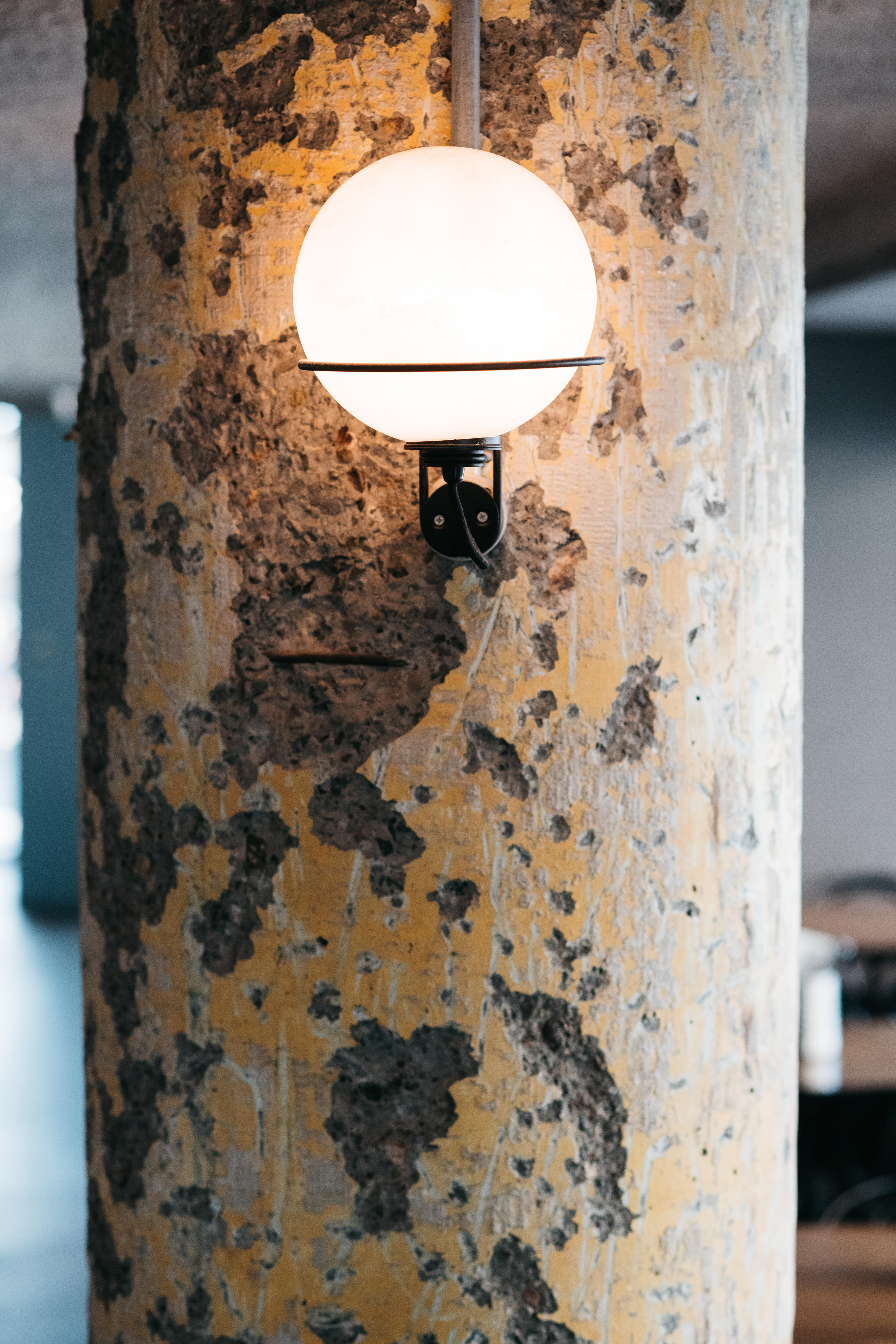 Bondi Beach Public Bar