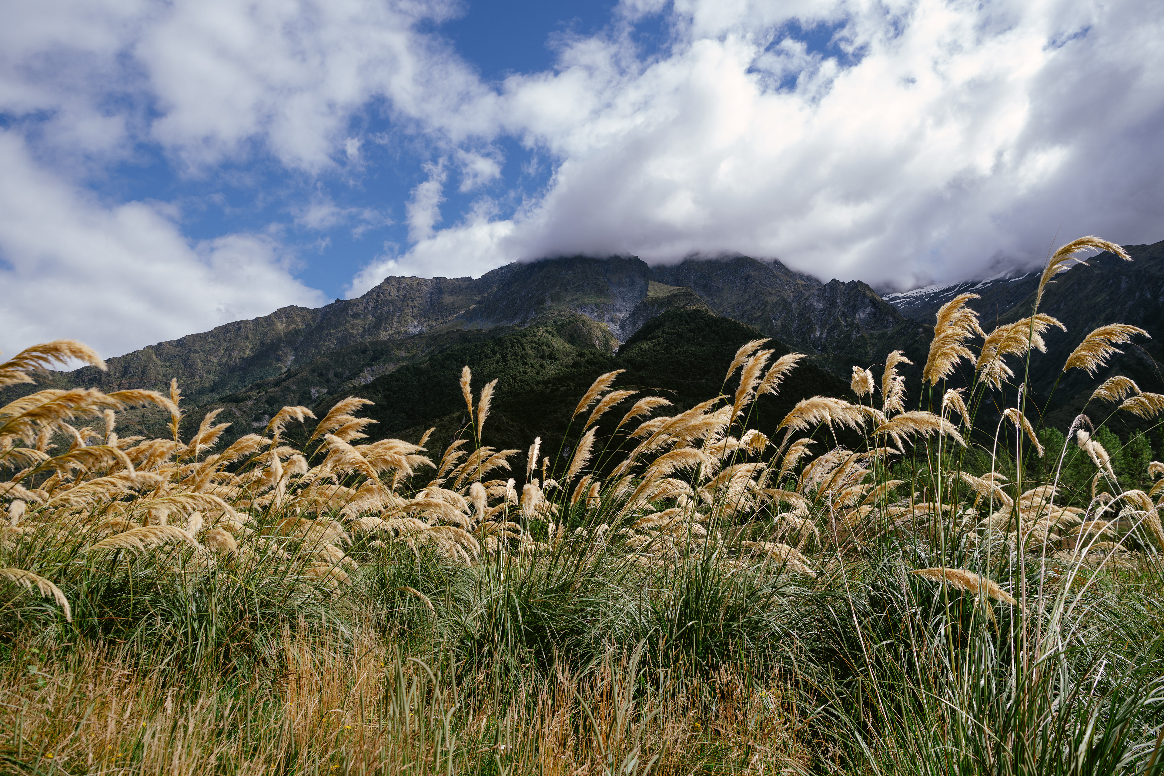 South Island, New Zealand