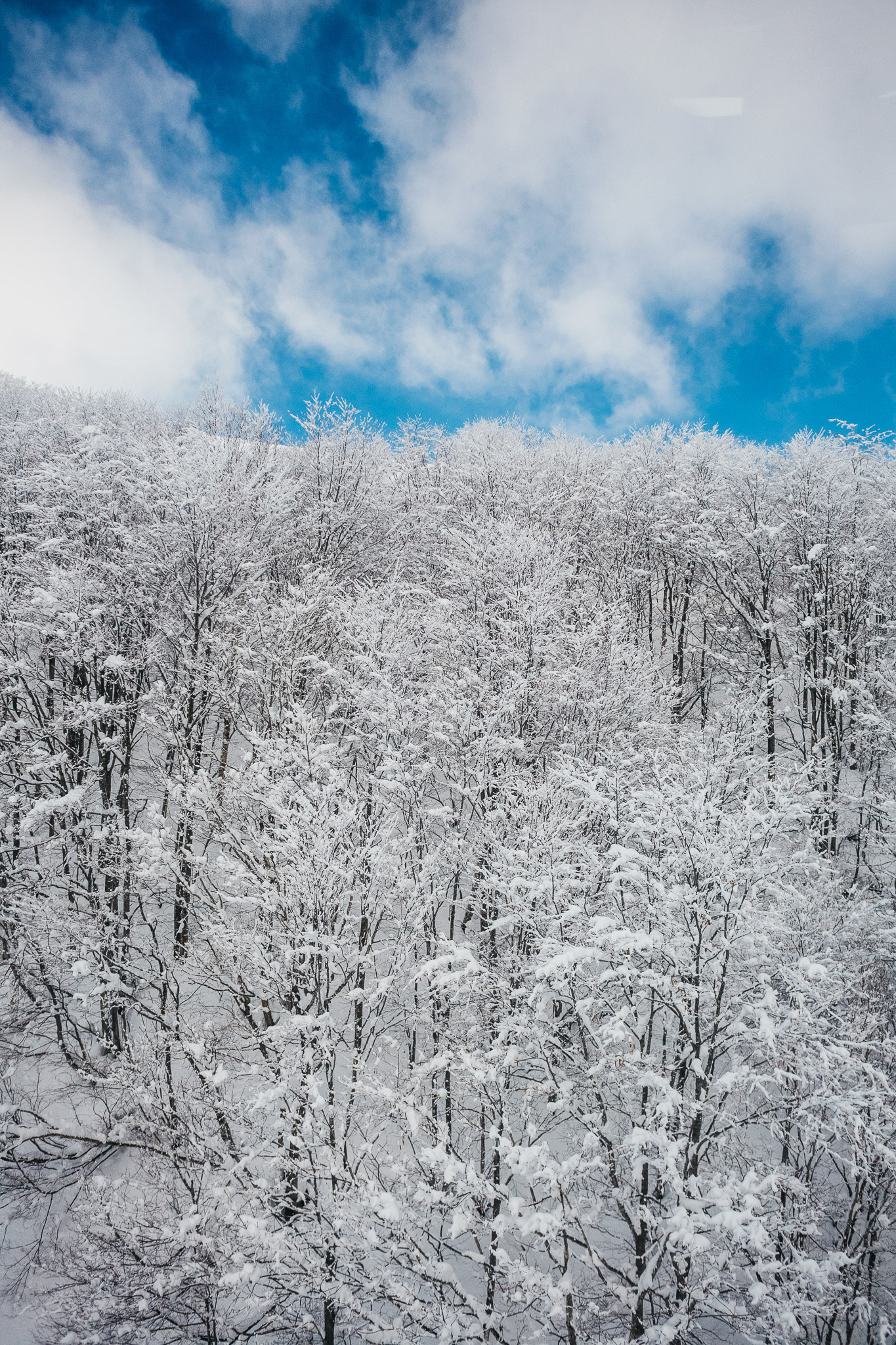 Hakuba, Japan