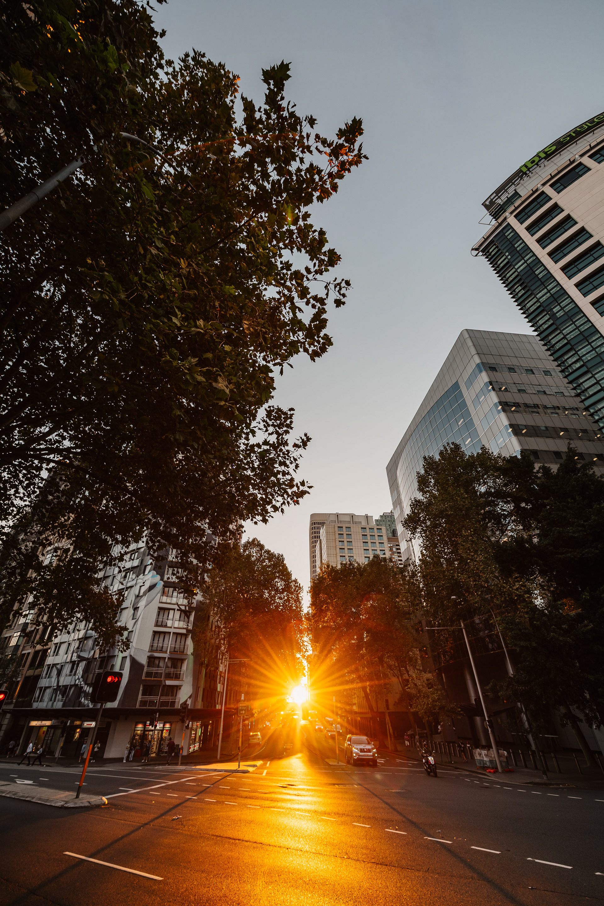 Sydney CBD Sunset