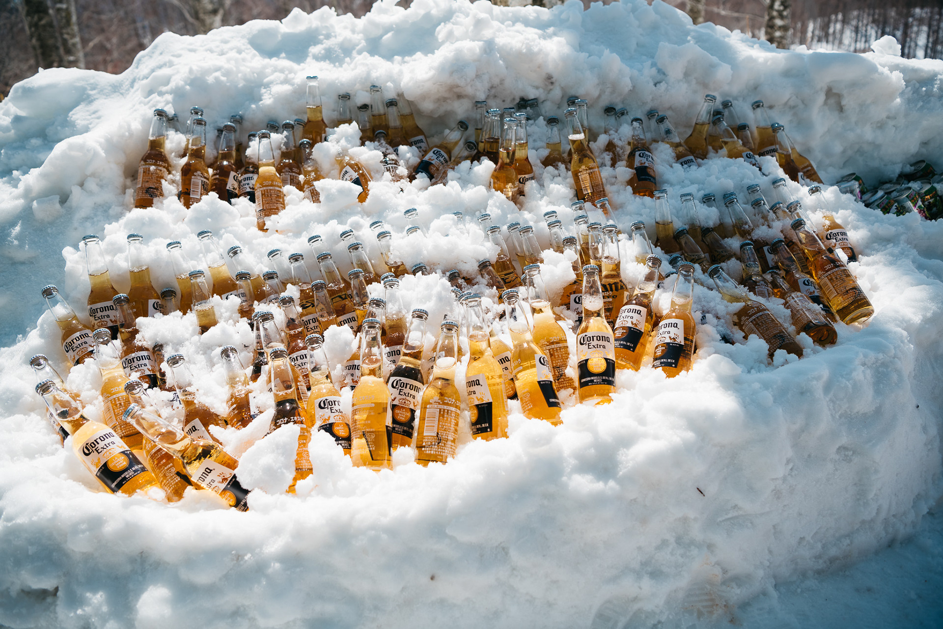 Snow Machine 2020, Hakuba, Japan