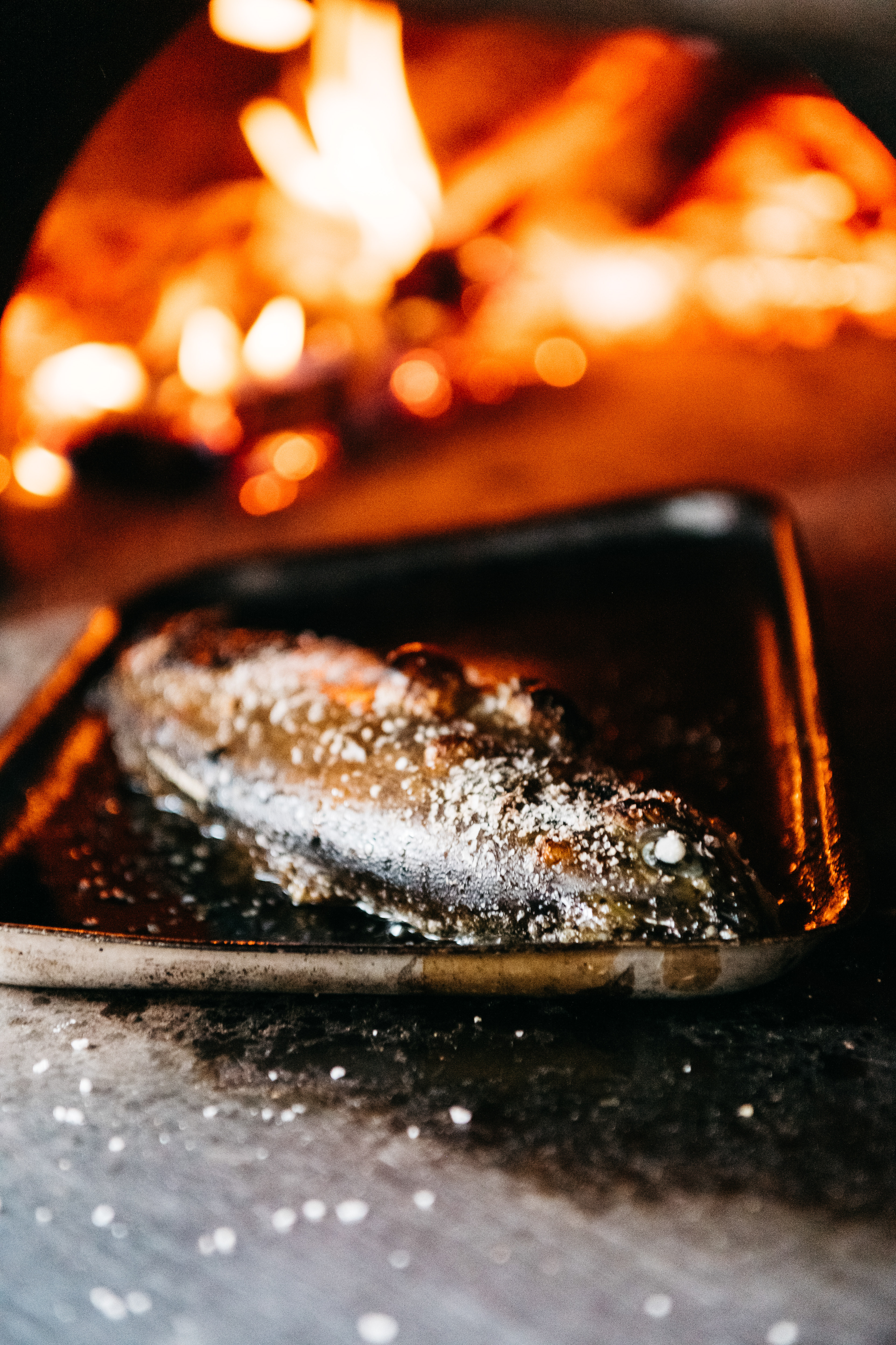 Ciccia Bella - Bondi