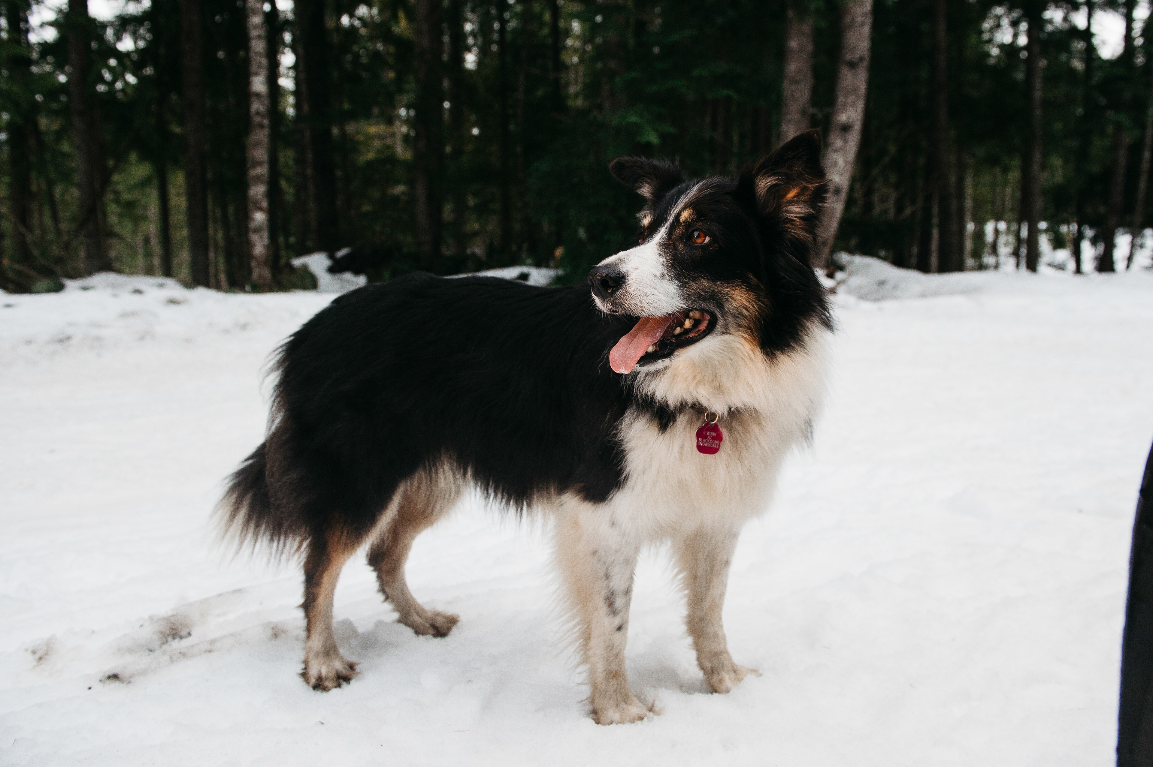 Whistler, British Columbia, CA