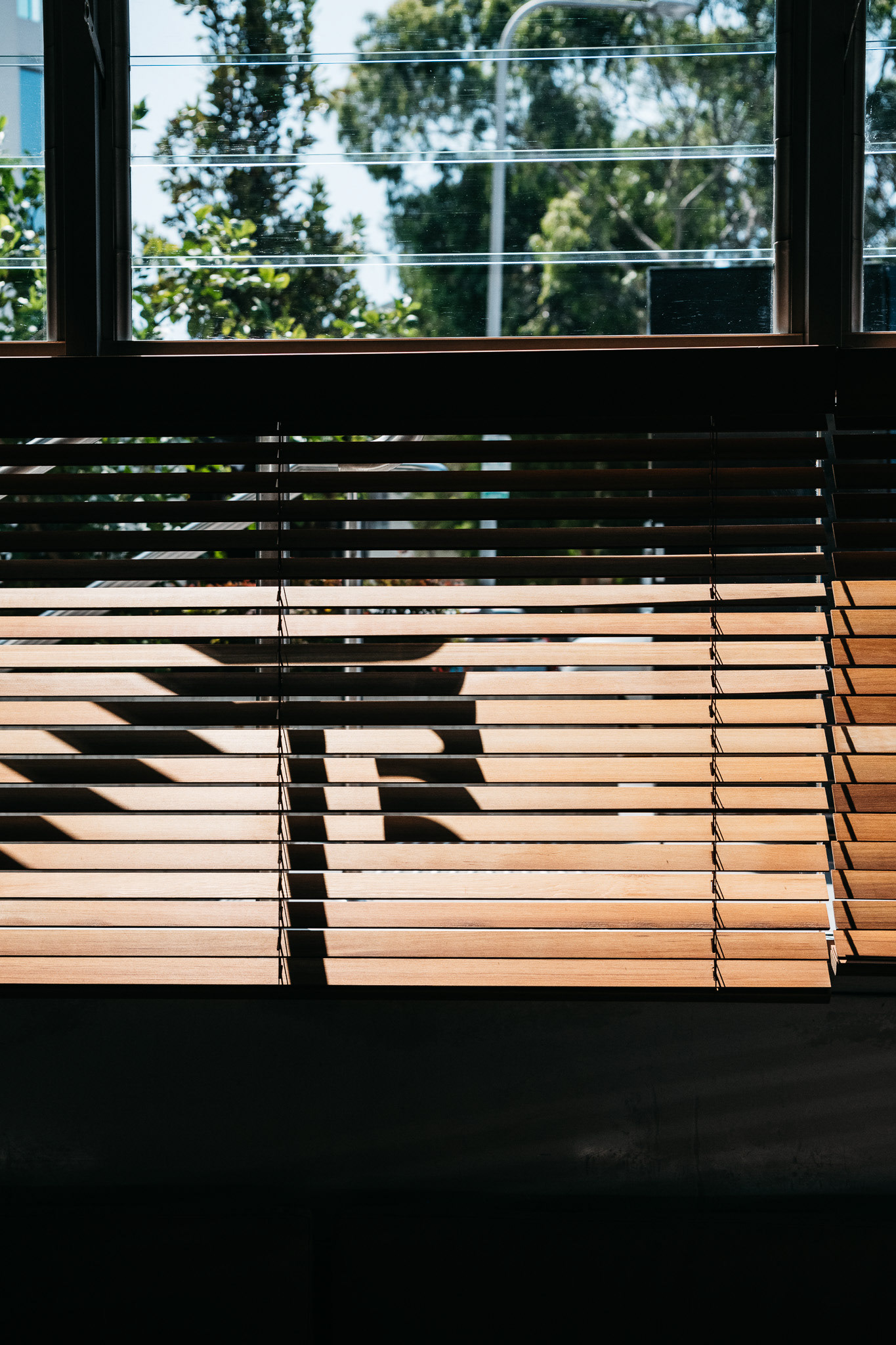 Ciccia Bella, Bondi.