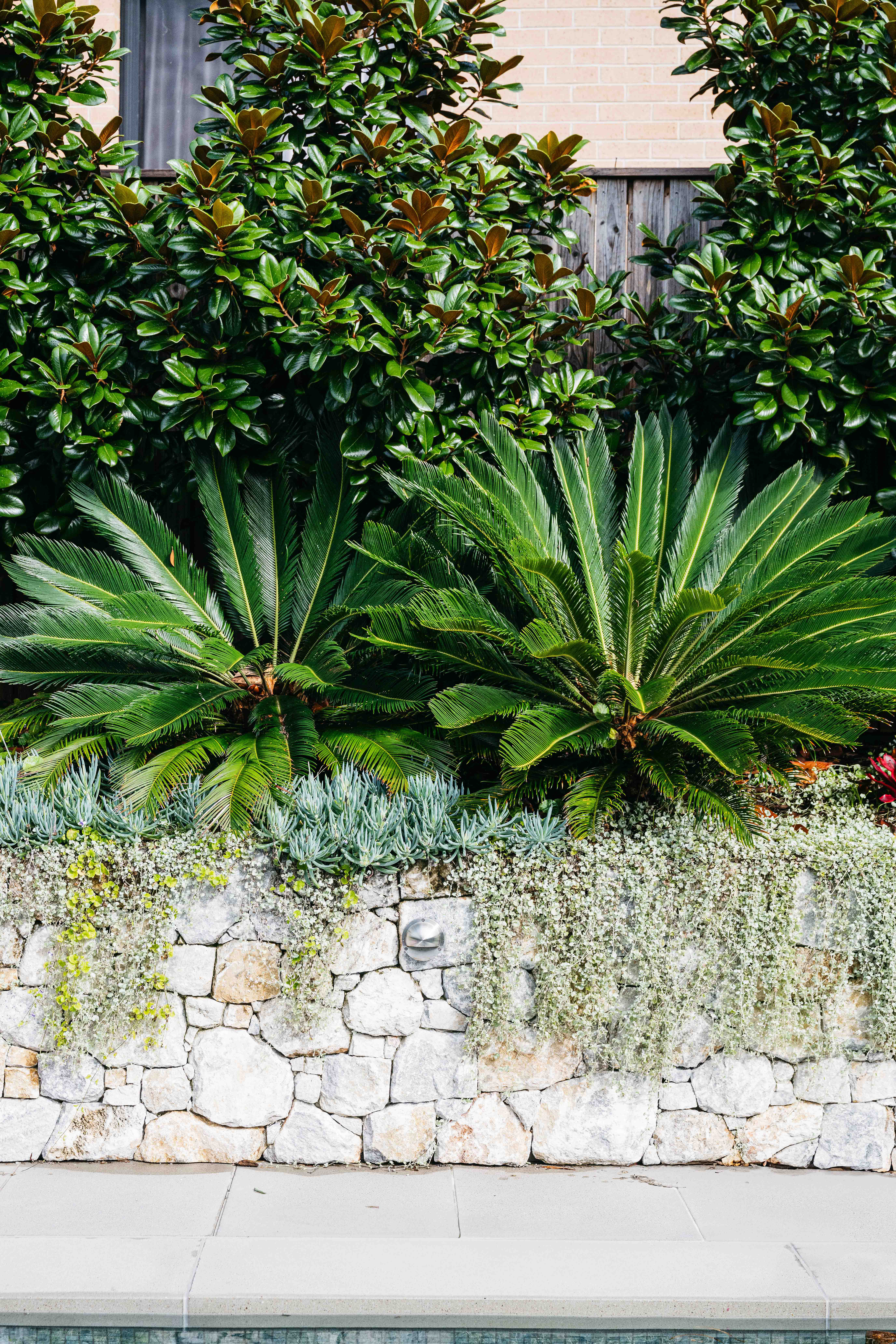 SC Projects - South Coogee