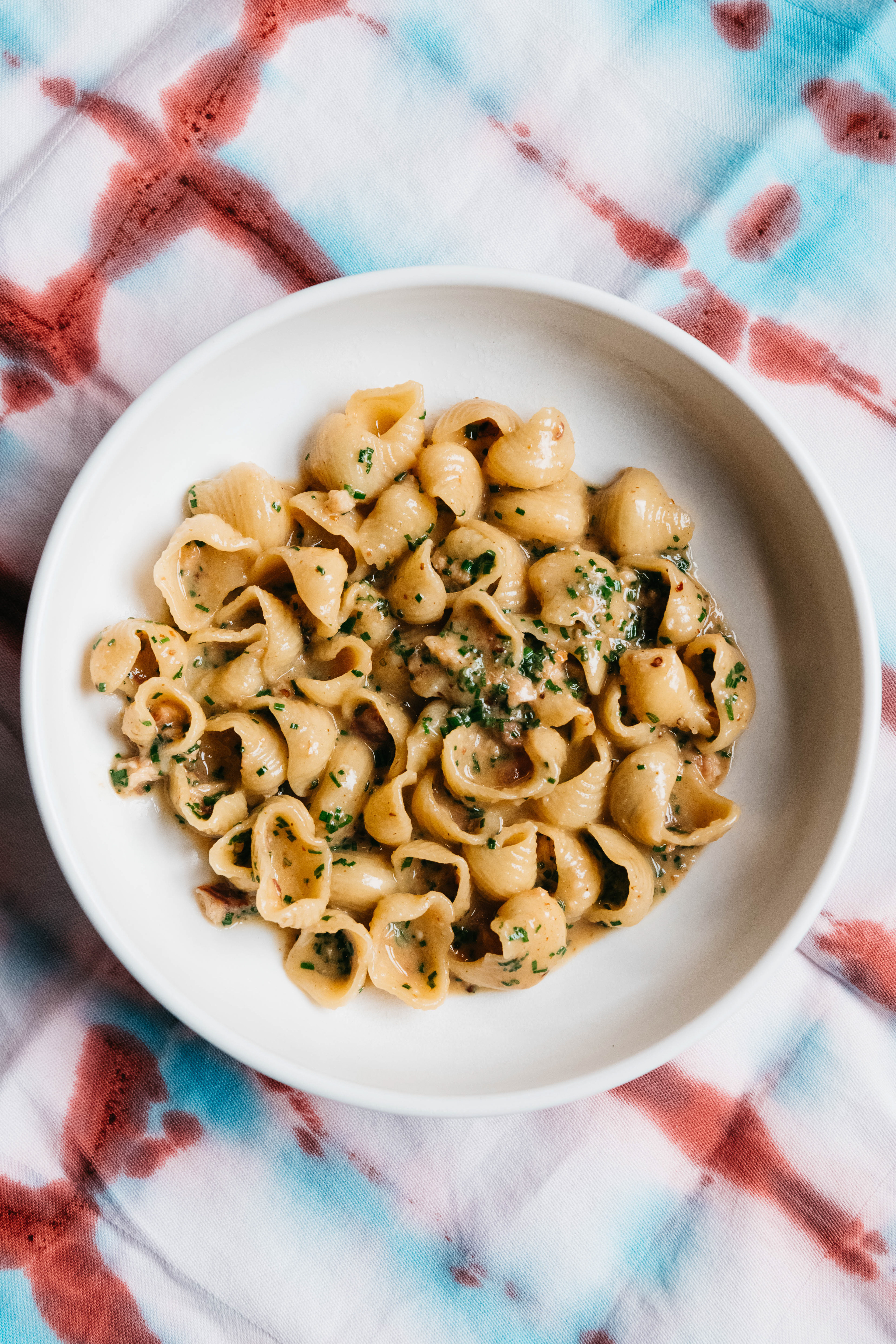 Ciccia Bella - Bondi