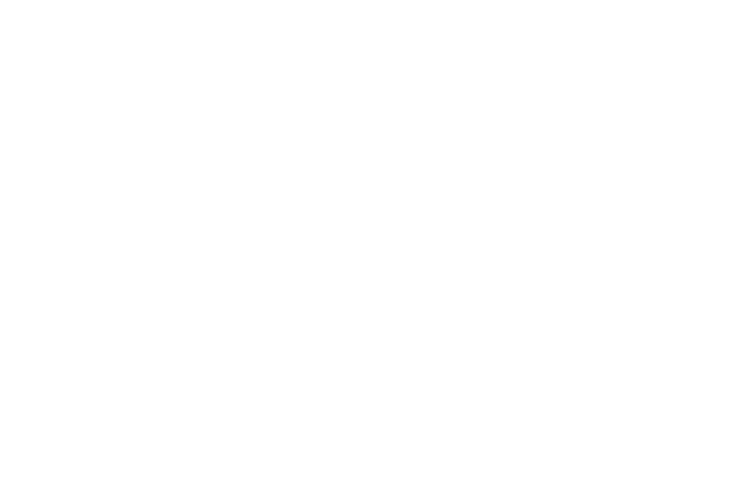 Mickael Pollet