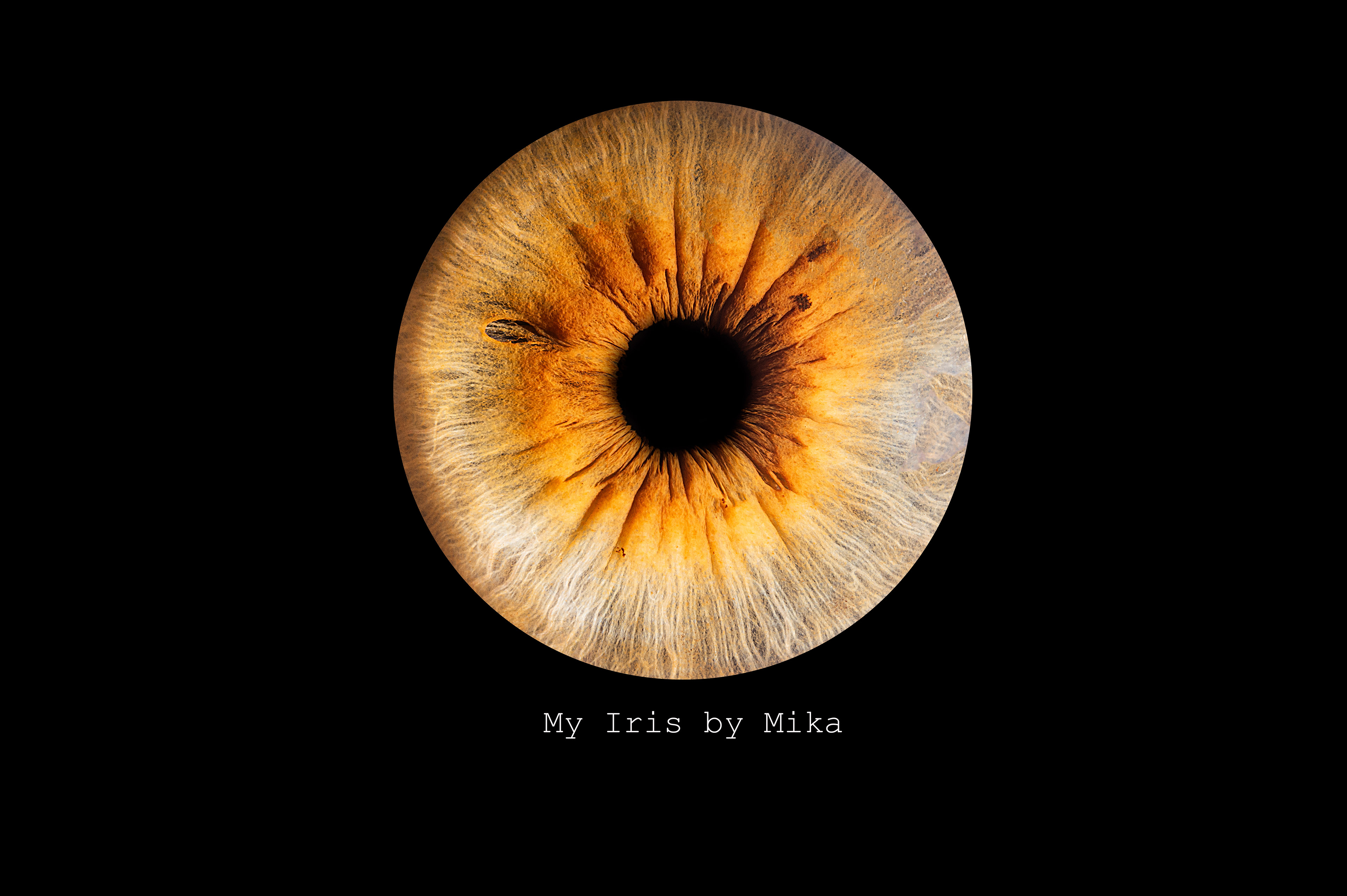 photographe iris à anse vers villefranche lyon macon bourg en bresse, my iris by mika pollet