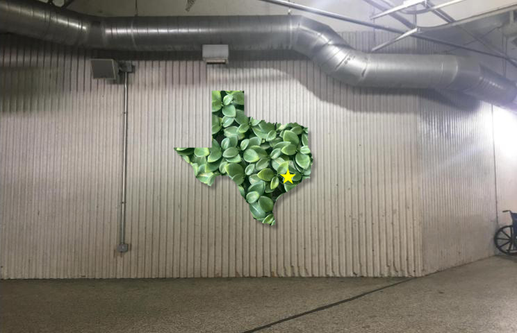 Houston, Texas, no background.