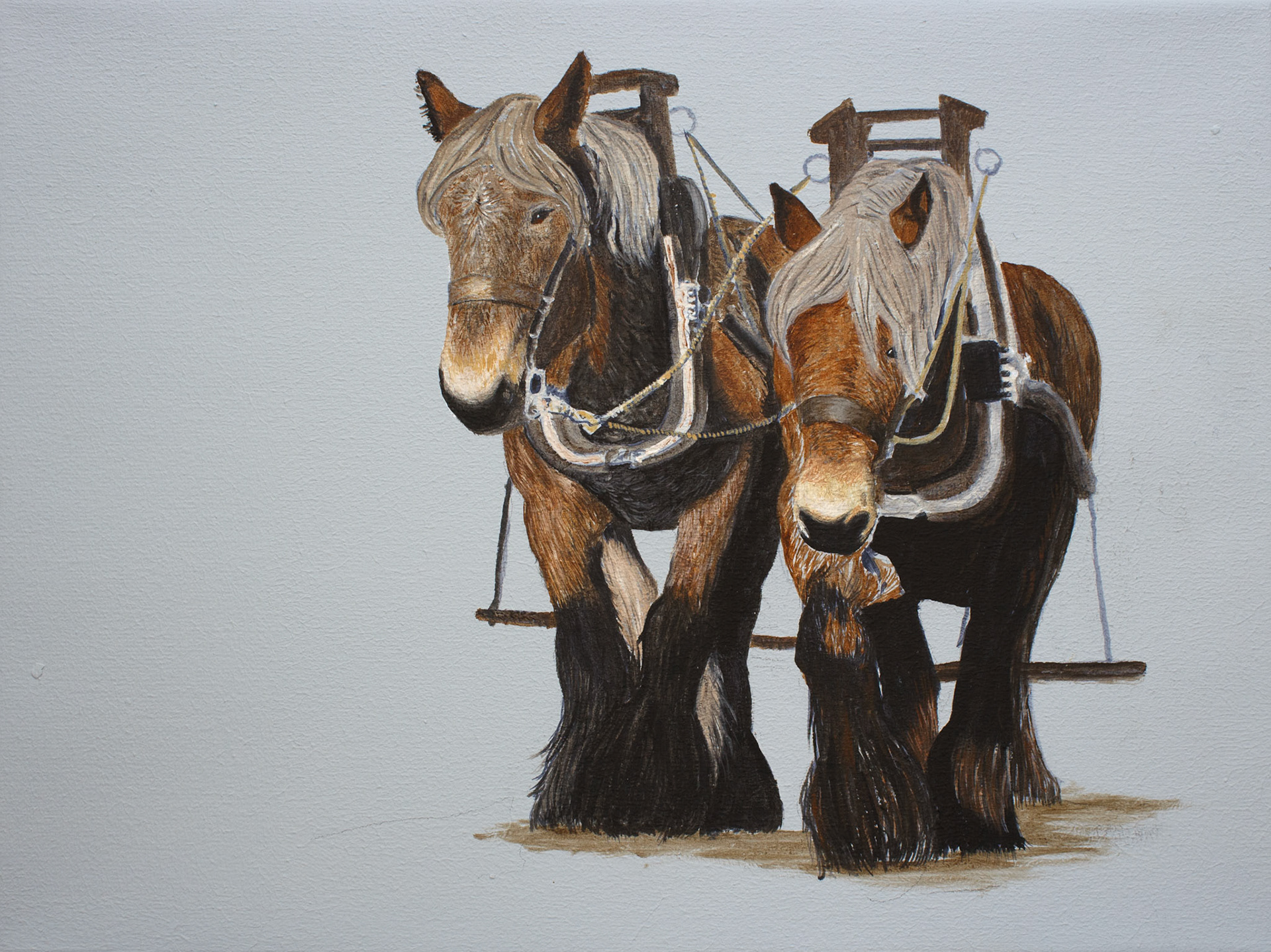 "KRACHT" 30cm x 40cm