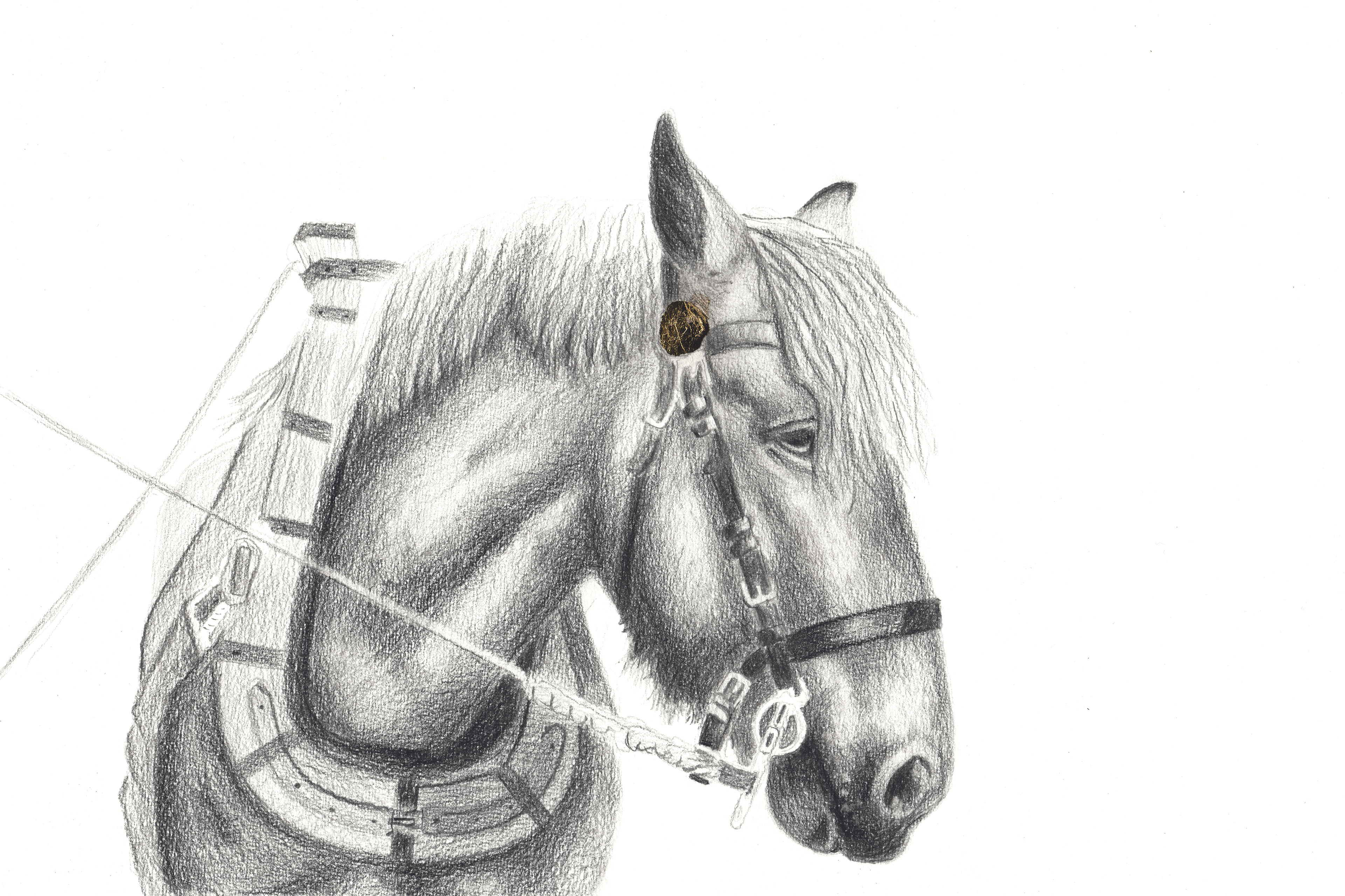 Tekening 20cm x30 cm : Ingelijst