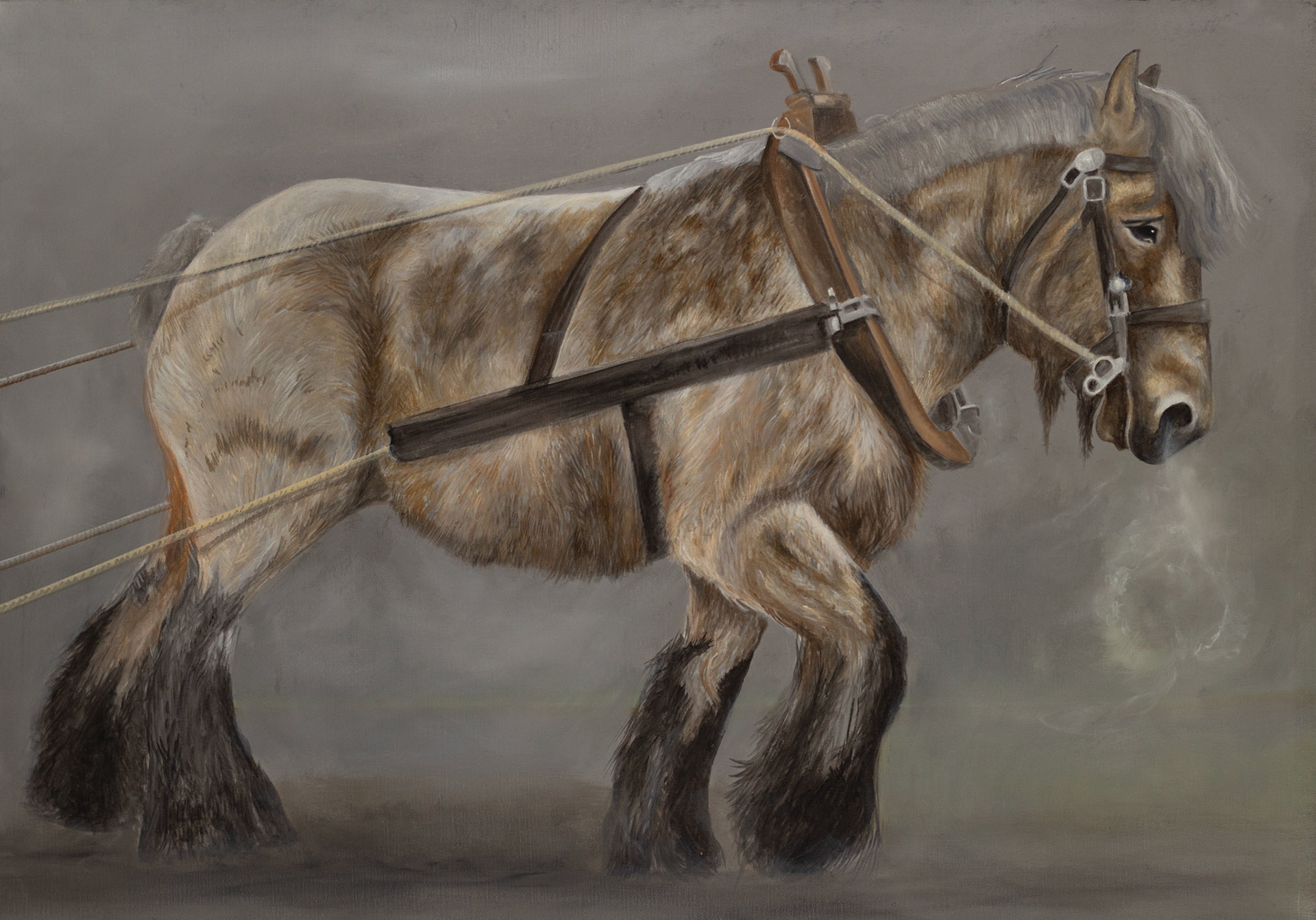 "KRACHT" 70x100 cm
