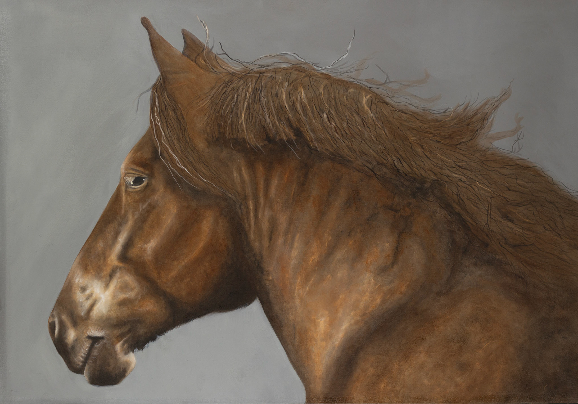 "KRACHT" 70x100 cm