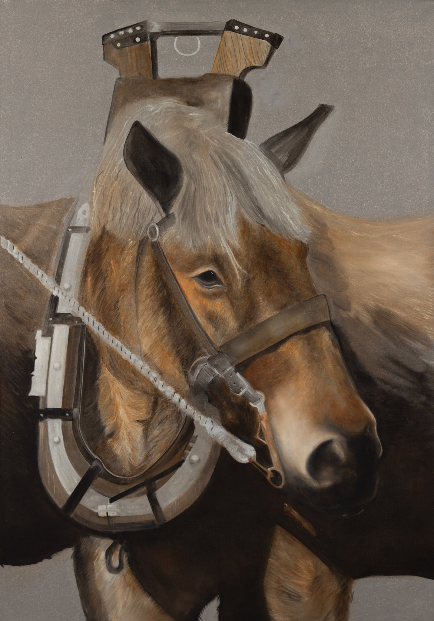 "KRACHT" 70x100 cm